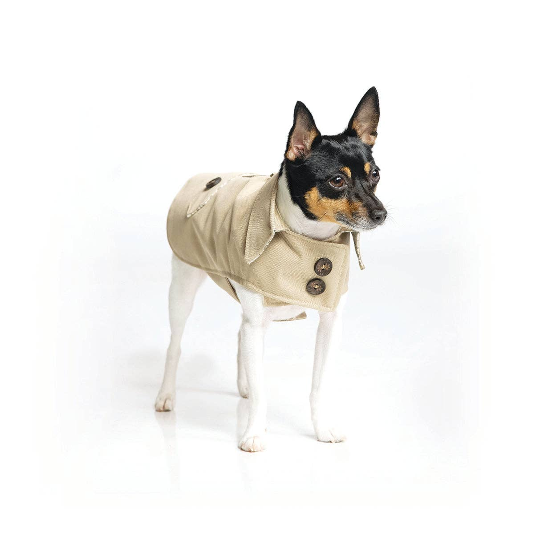 DoggieCoutureNY Classic Trench Coat Image 1