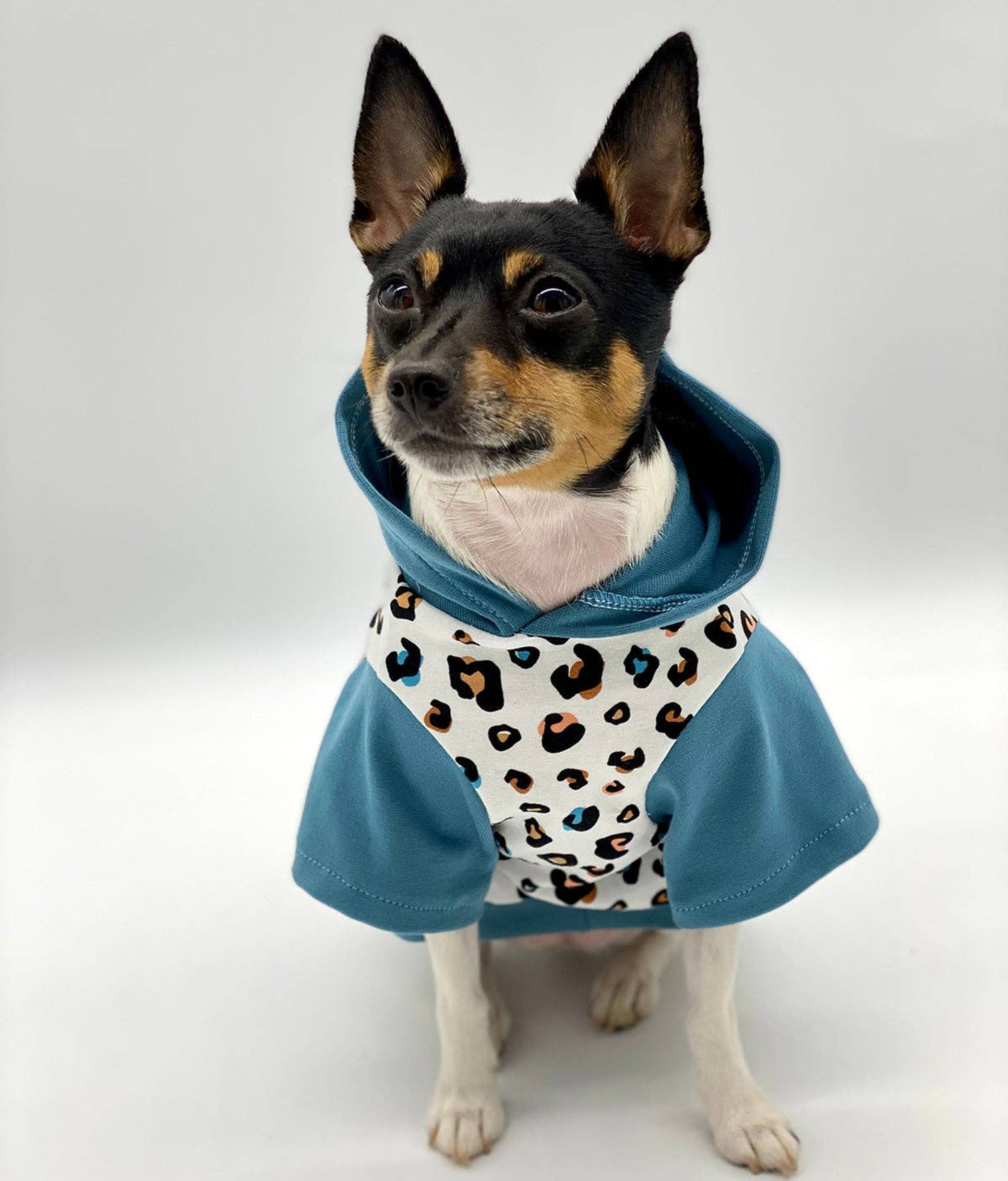 DCNY Unisex Leopard Print Hoodie - Limited Edition Image 1