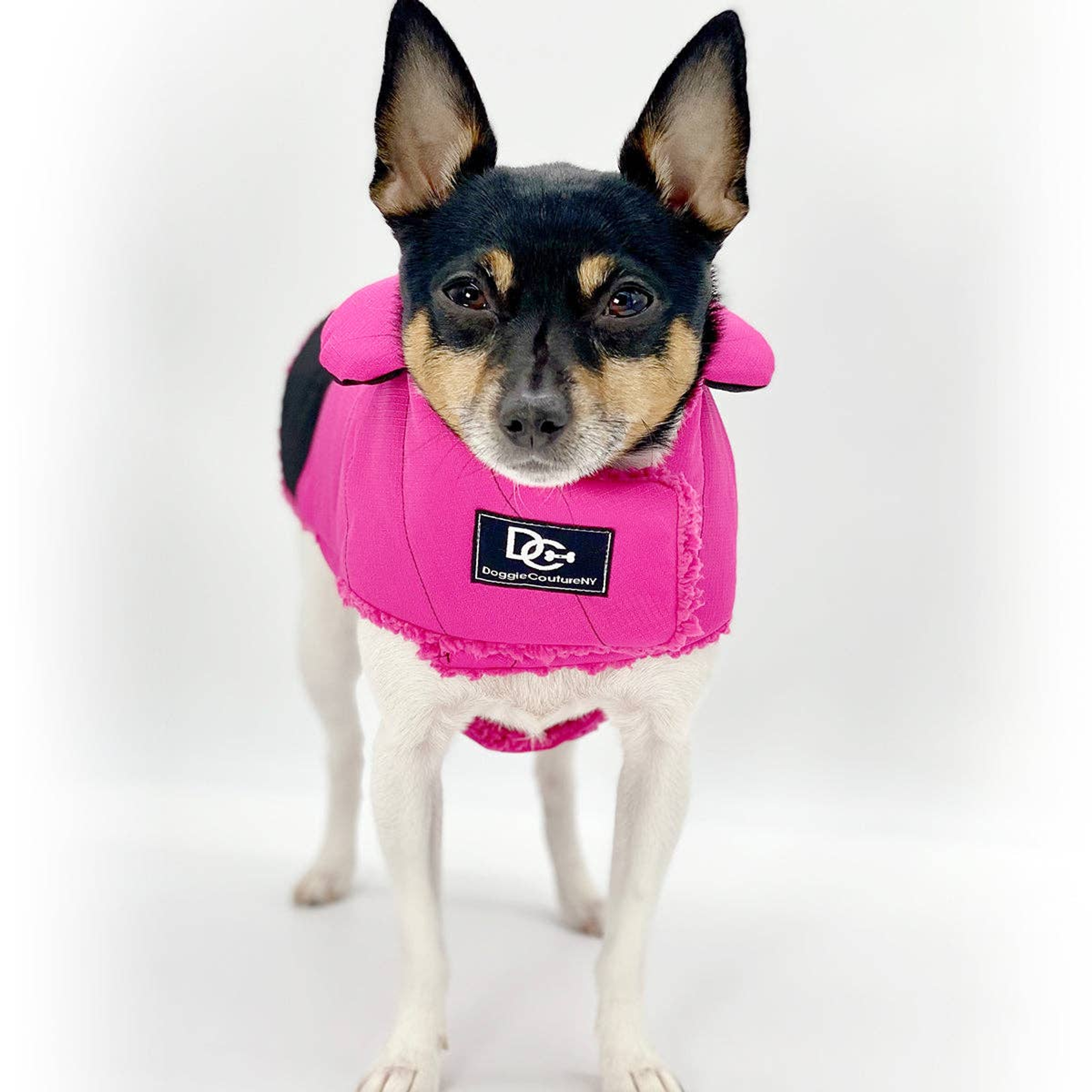 DoggieCoutureNY Water Resistant Coat Image 1