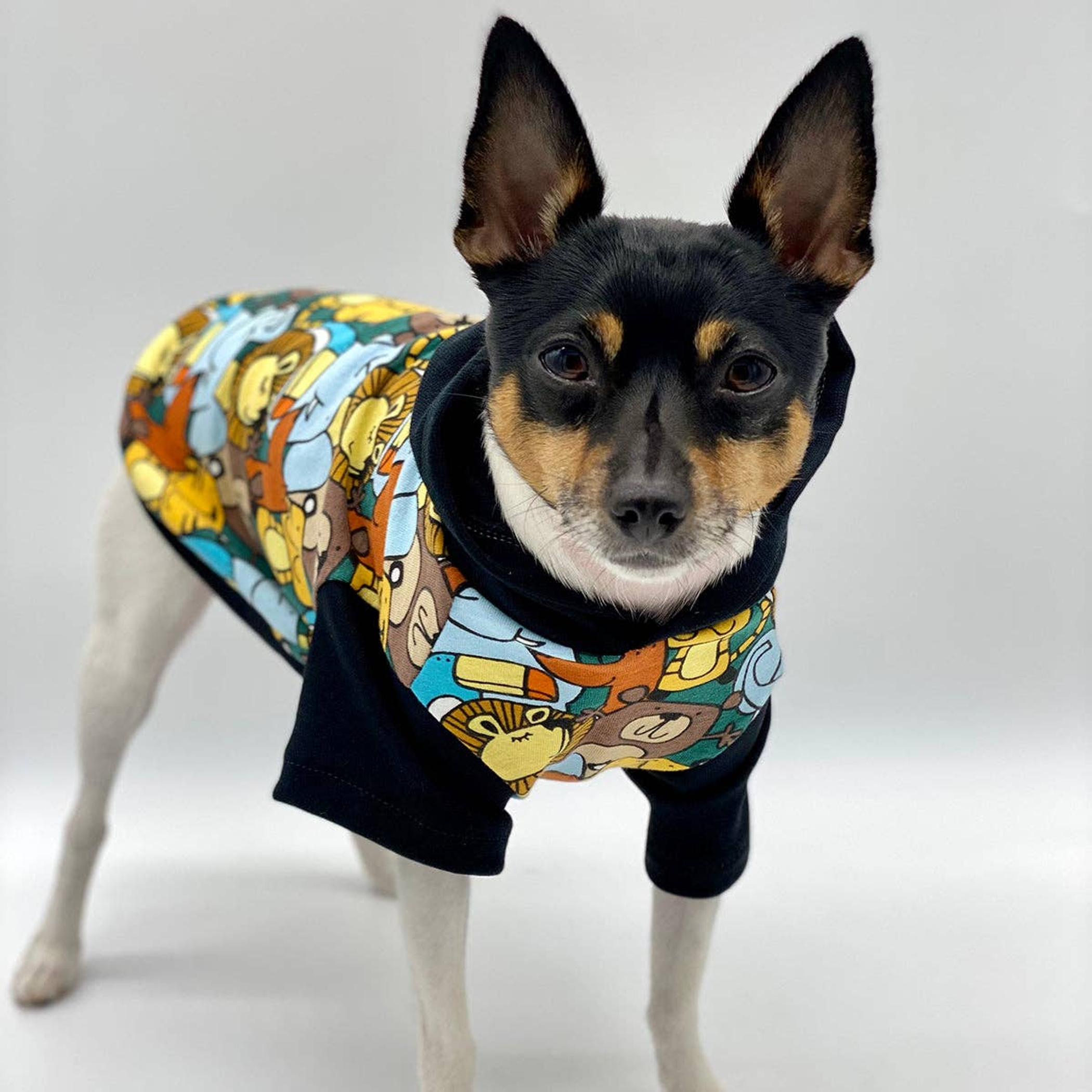 DCNY Day At The Zoo Hoodie - Limited Edition Image 1