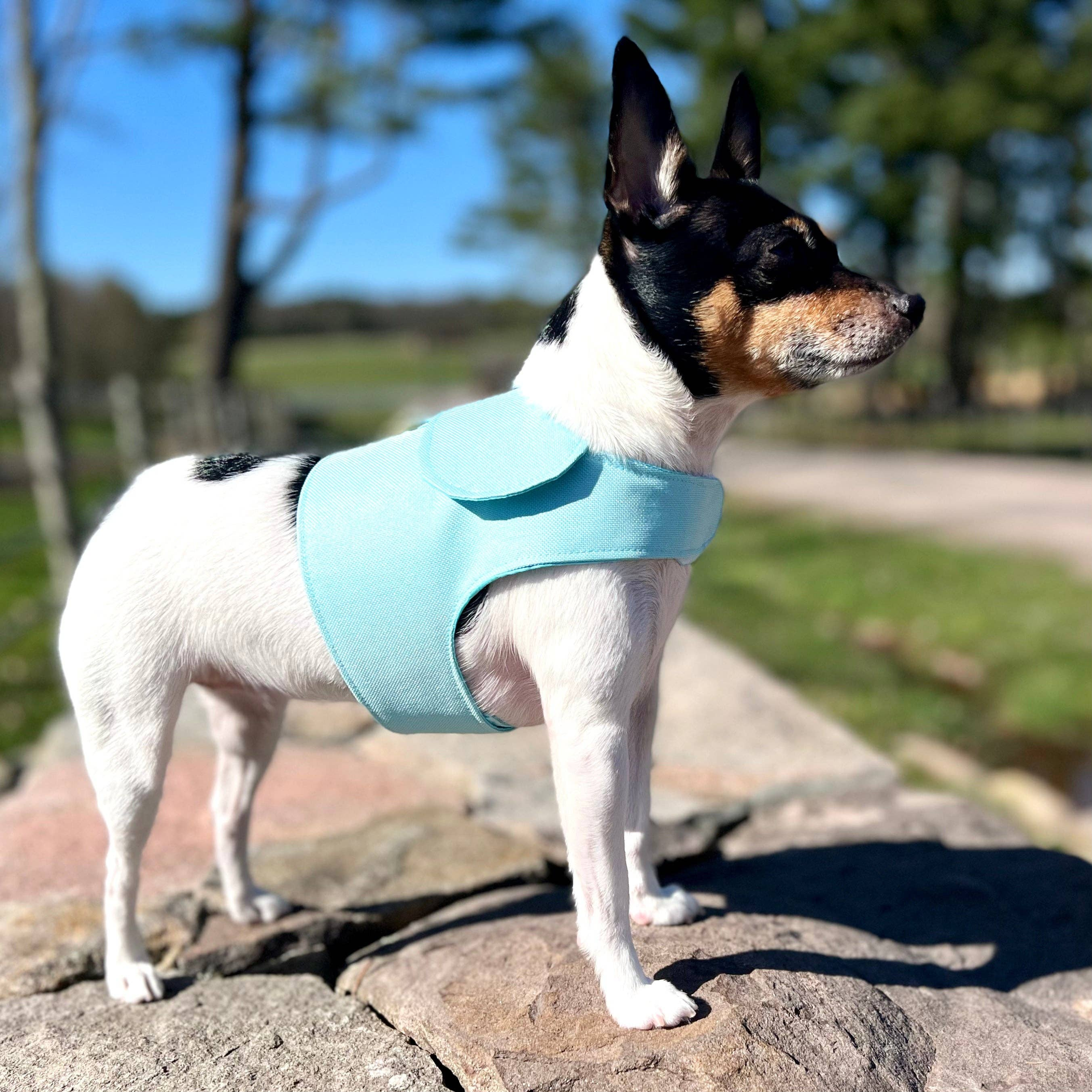 DCNY Harness Vest Image 1