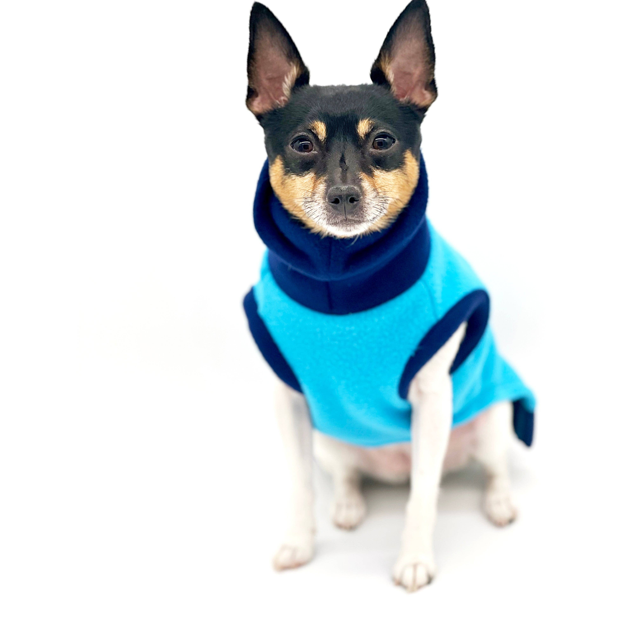 DCNY Two Tone Blue Longneck Sweater Image 1