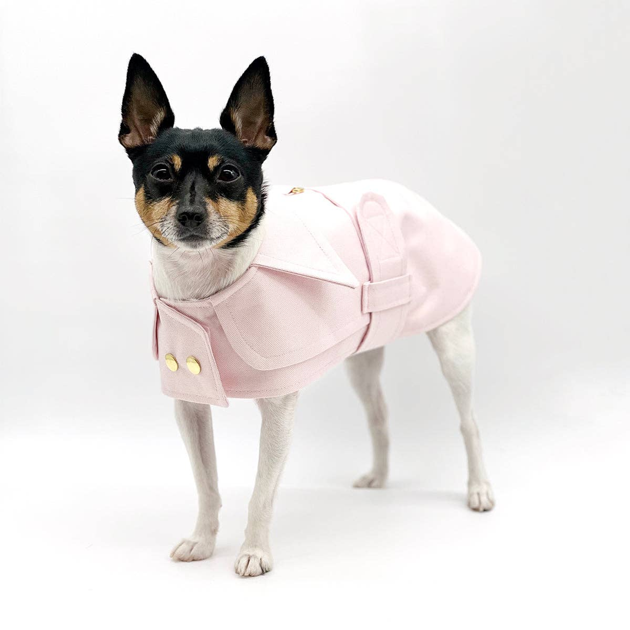 DCNY Belted Trench Coat Image 1