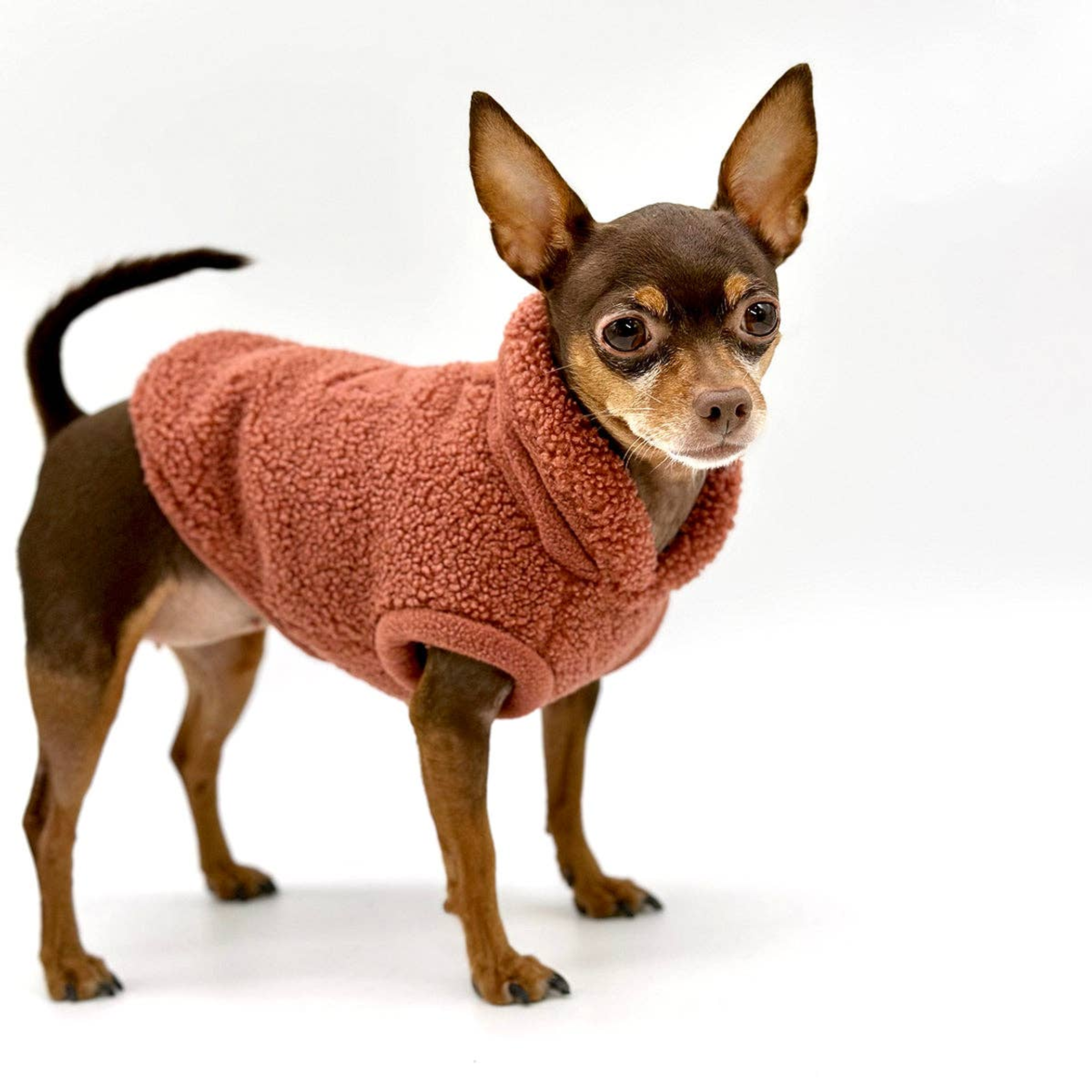 Cozy Sherpa Fleece Pullover Image 1