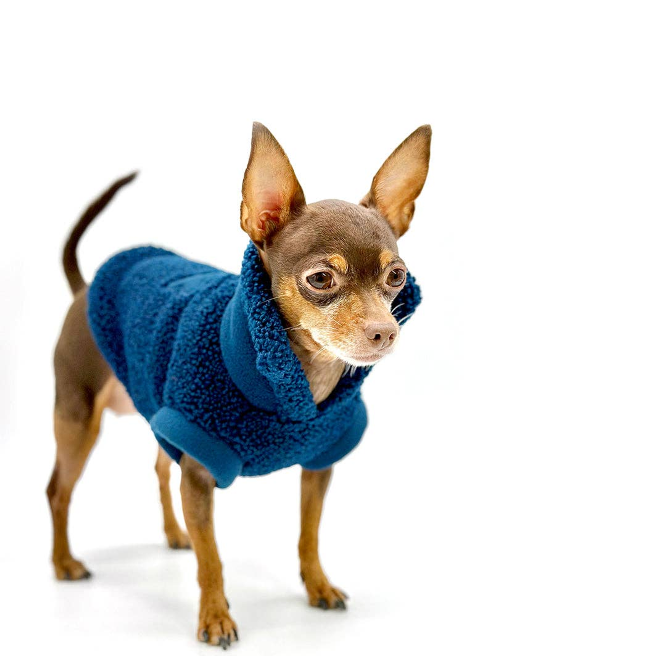 Cozy Sherpa Fleece Pullover Image 1