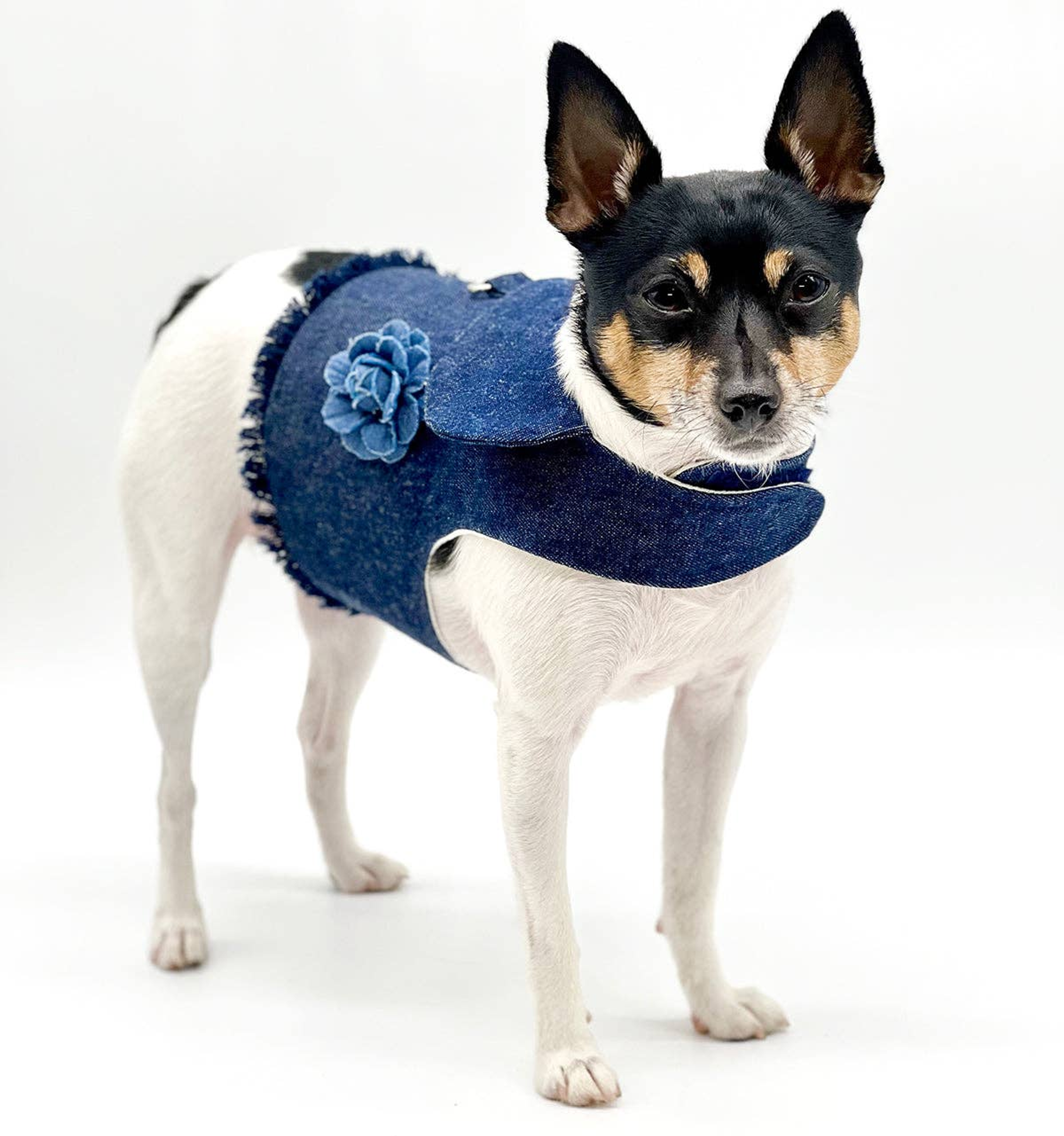 DCNY Harness Vest Image 1