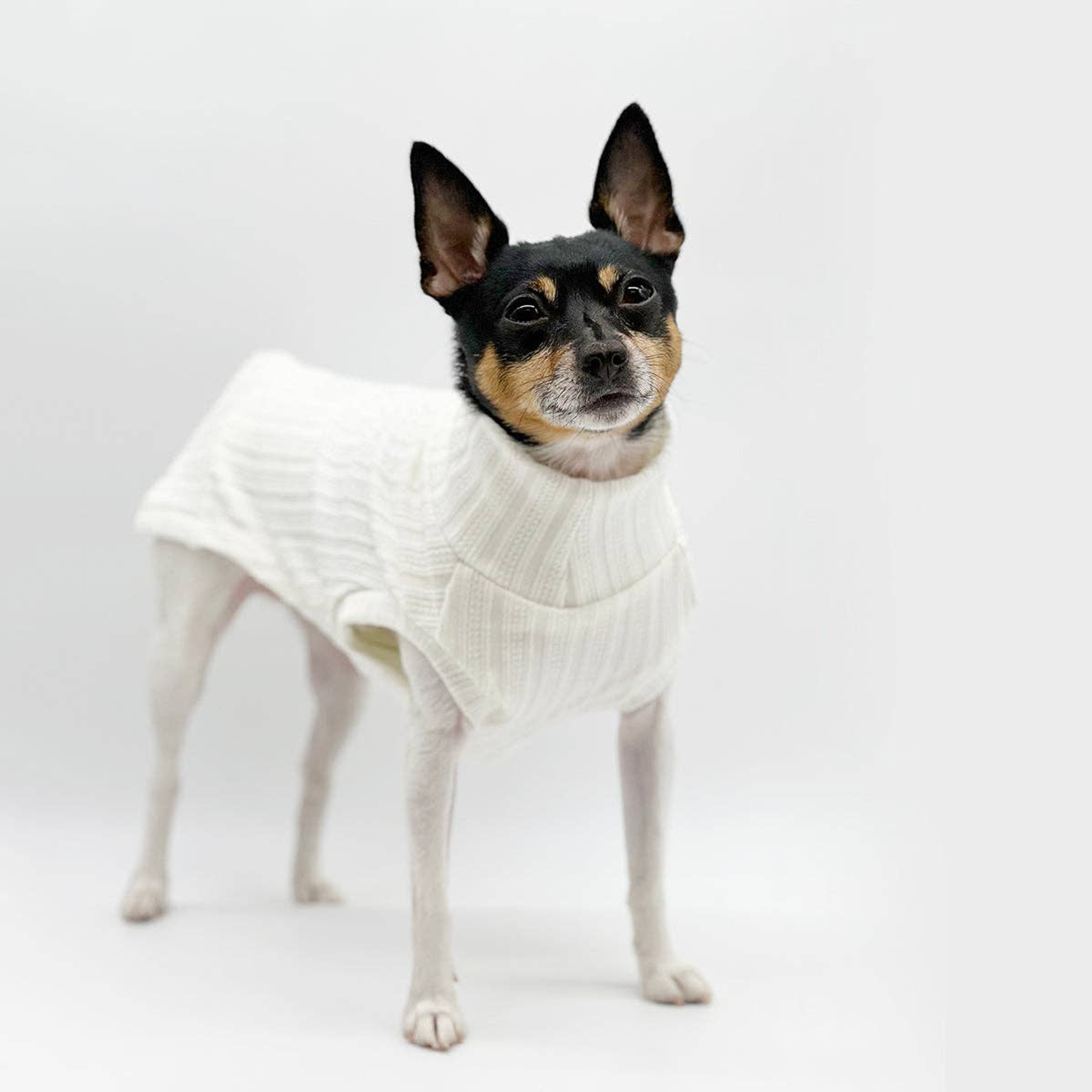 DCNY Mock Neck Sleeveless Sweater Tank Image 1