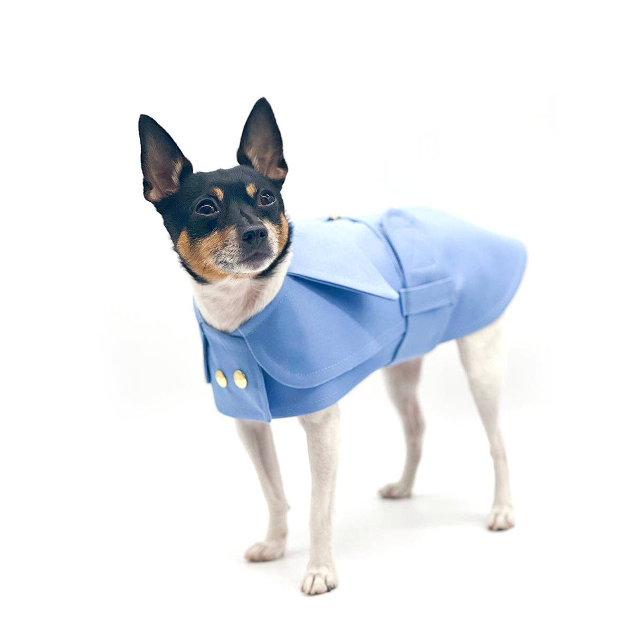 DCNY Belted Trench Coat Image 1