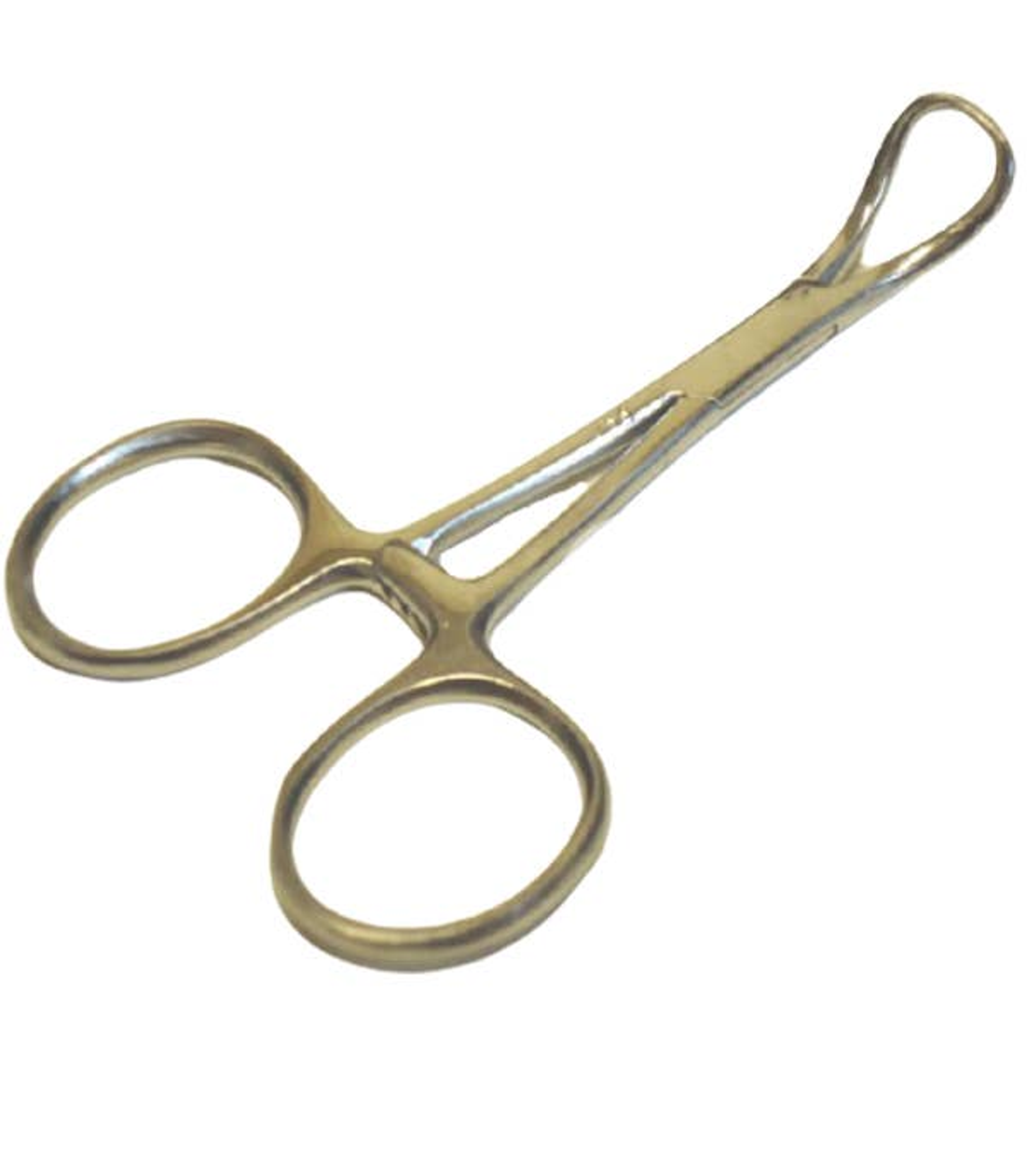 Towel Clamp Surgical Stainless Size 3.5 Inch Quantity 10 pcs Material Stainless Steel Usage Surgical and Medical Instrument