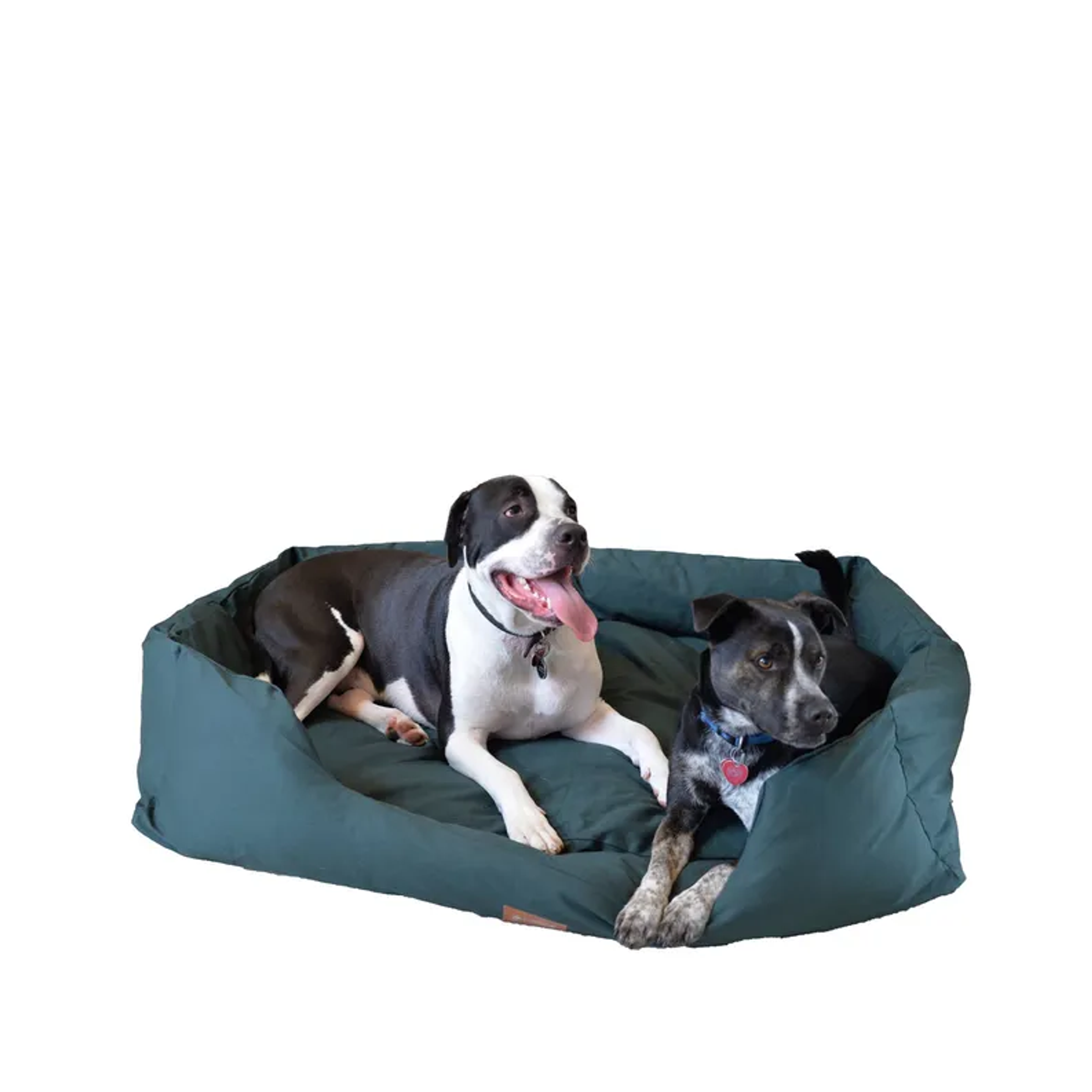 Armarkat Bolstered Dog Bed, Anti-Slip Pet Bed, Laurel Green Image 1