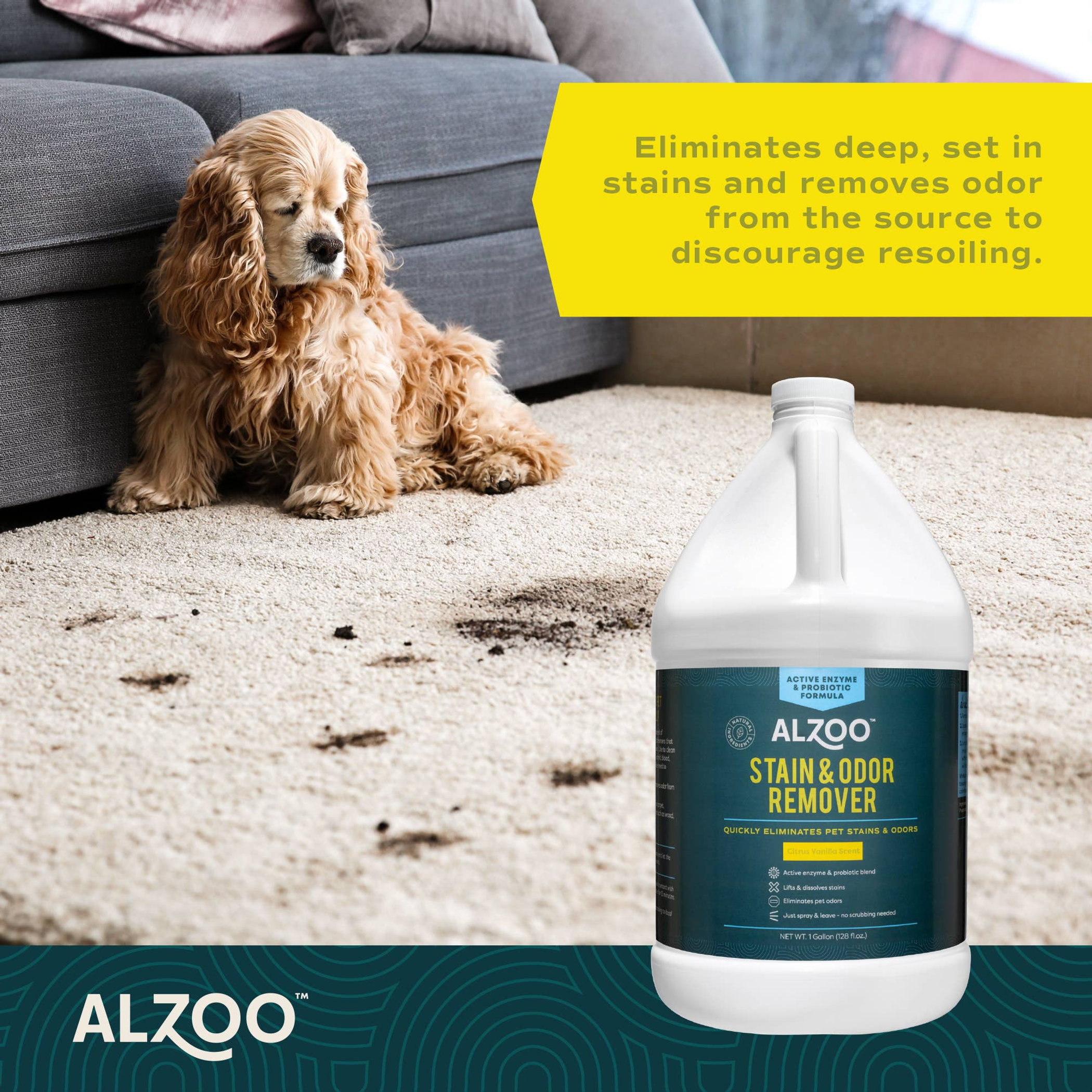 Enzyme Stain & Odor Remover Quickly Eliminates Pet Stains & Odors 32oz Citrus Lavender Safe For Use Around Pets And People