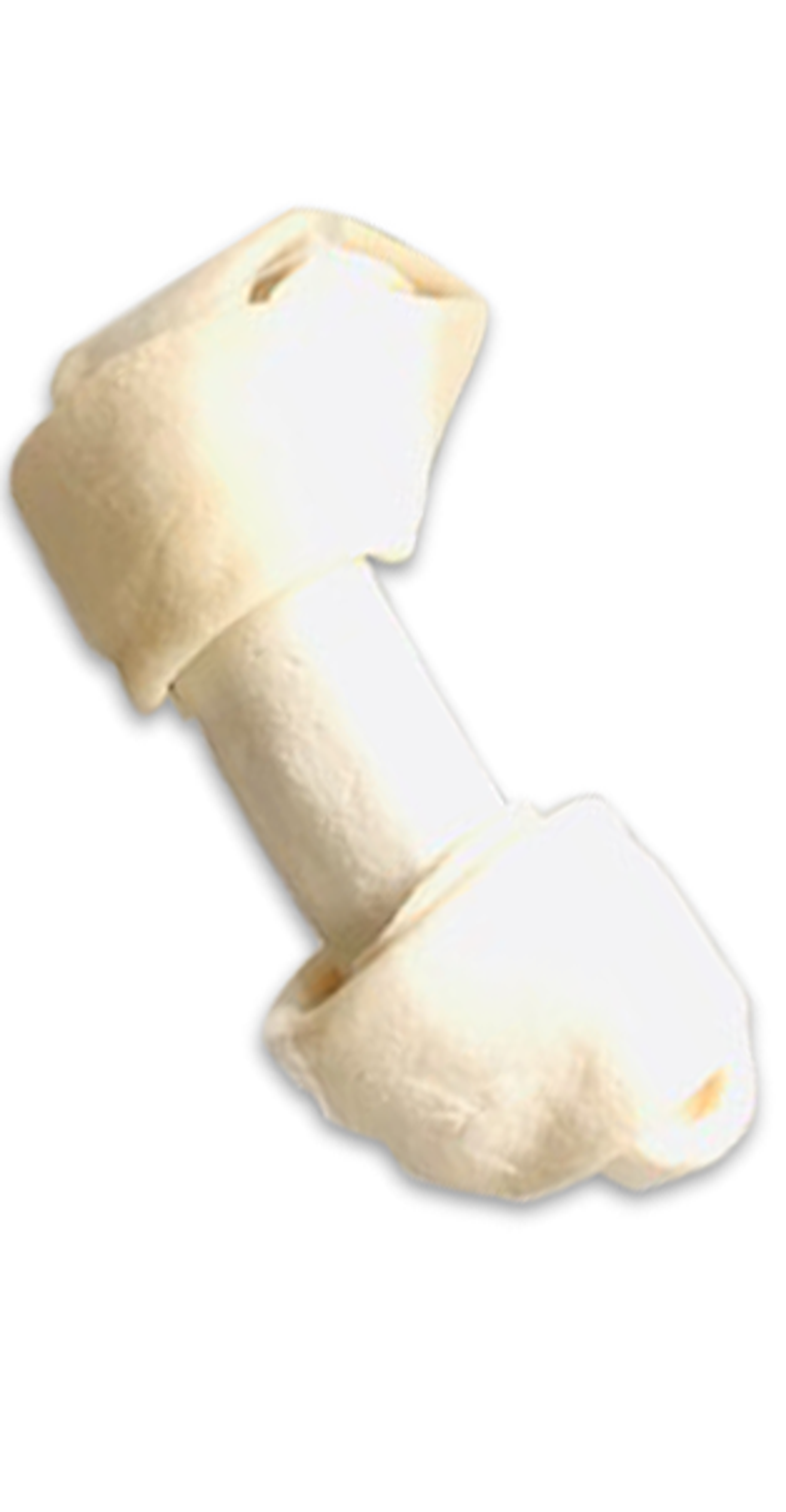 Natural Knotted Bone Image 1