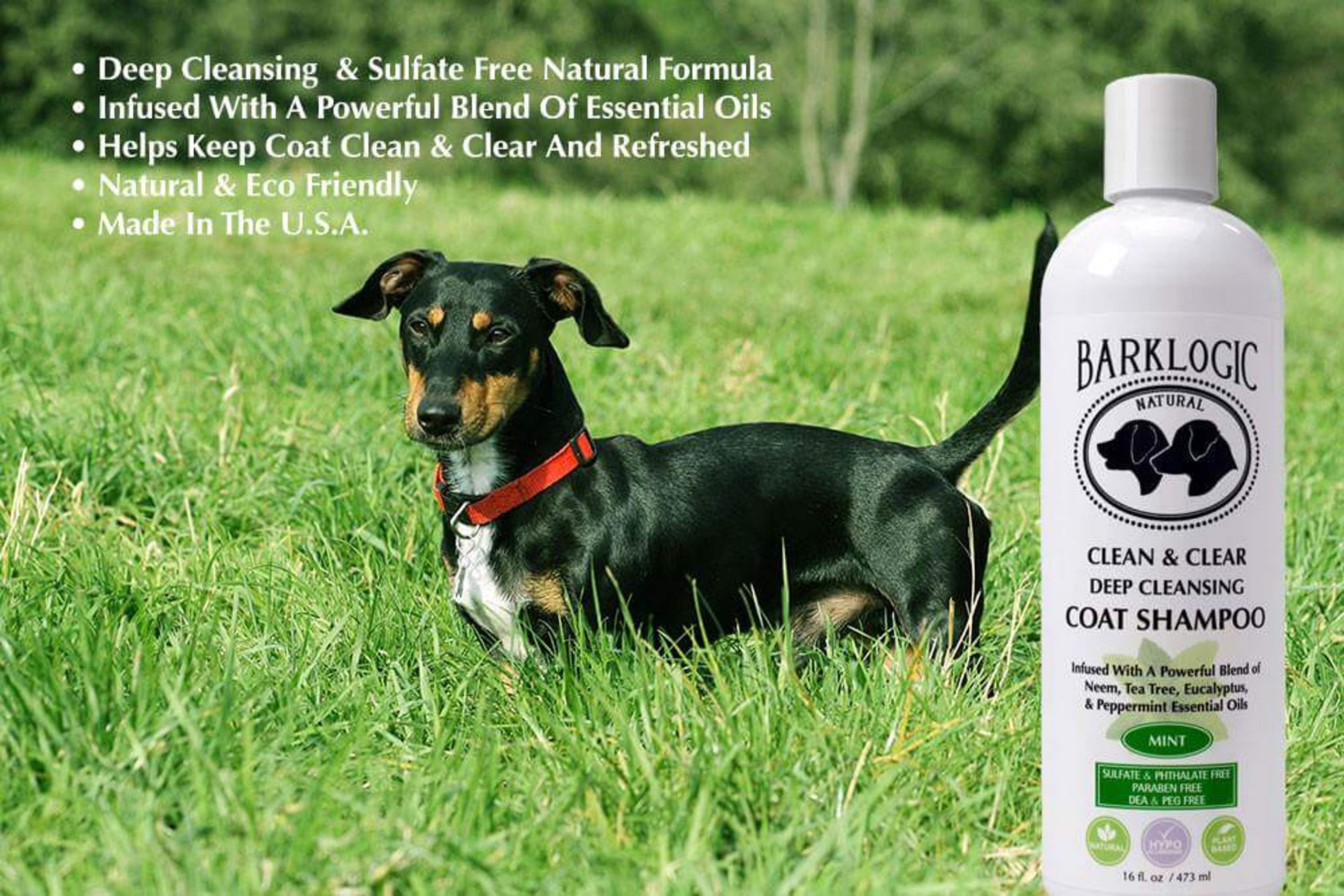 Dog Shampoo Deep Cleansing Sulfate Free Infused With Essential Oils Mint Scent 16 fl oz Hypoallergenic Cruelty Free Vegan
