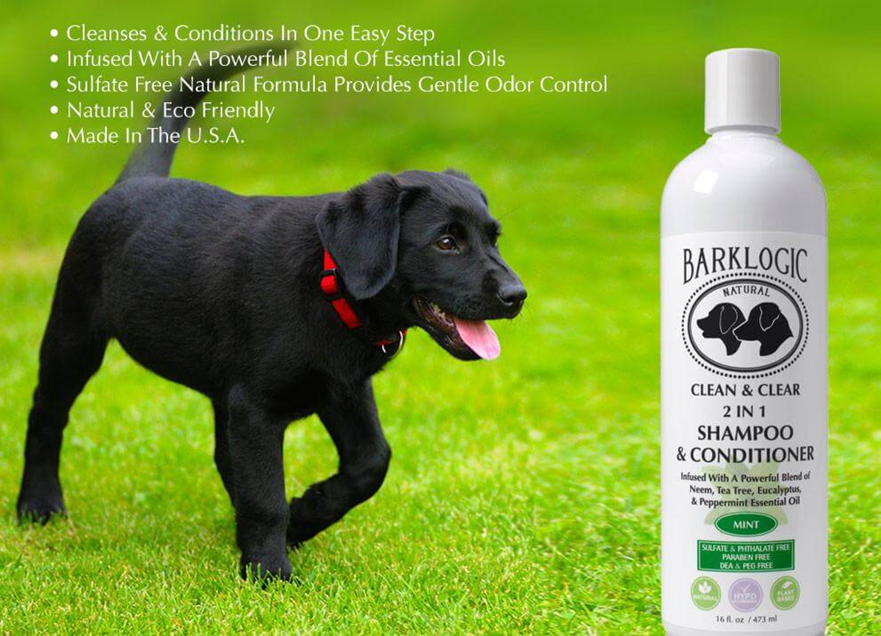 2 in 1 Shampoo & Conditioner Cleansing Conditioning Sulfate Free Infused With Essential Oils 16 fl oz Mint