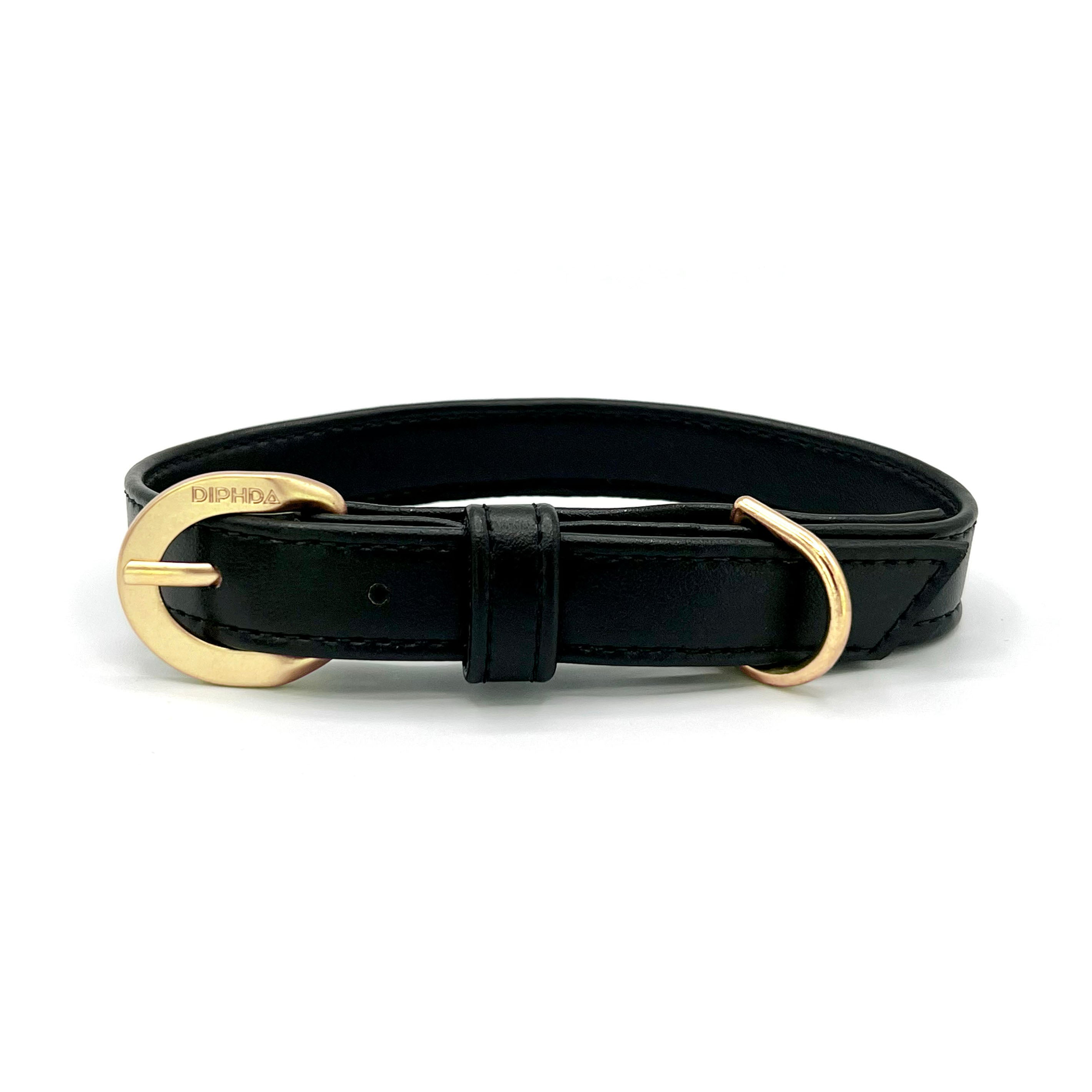 Jet Cactus Collar Image 1