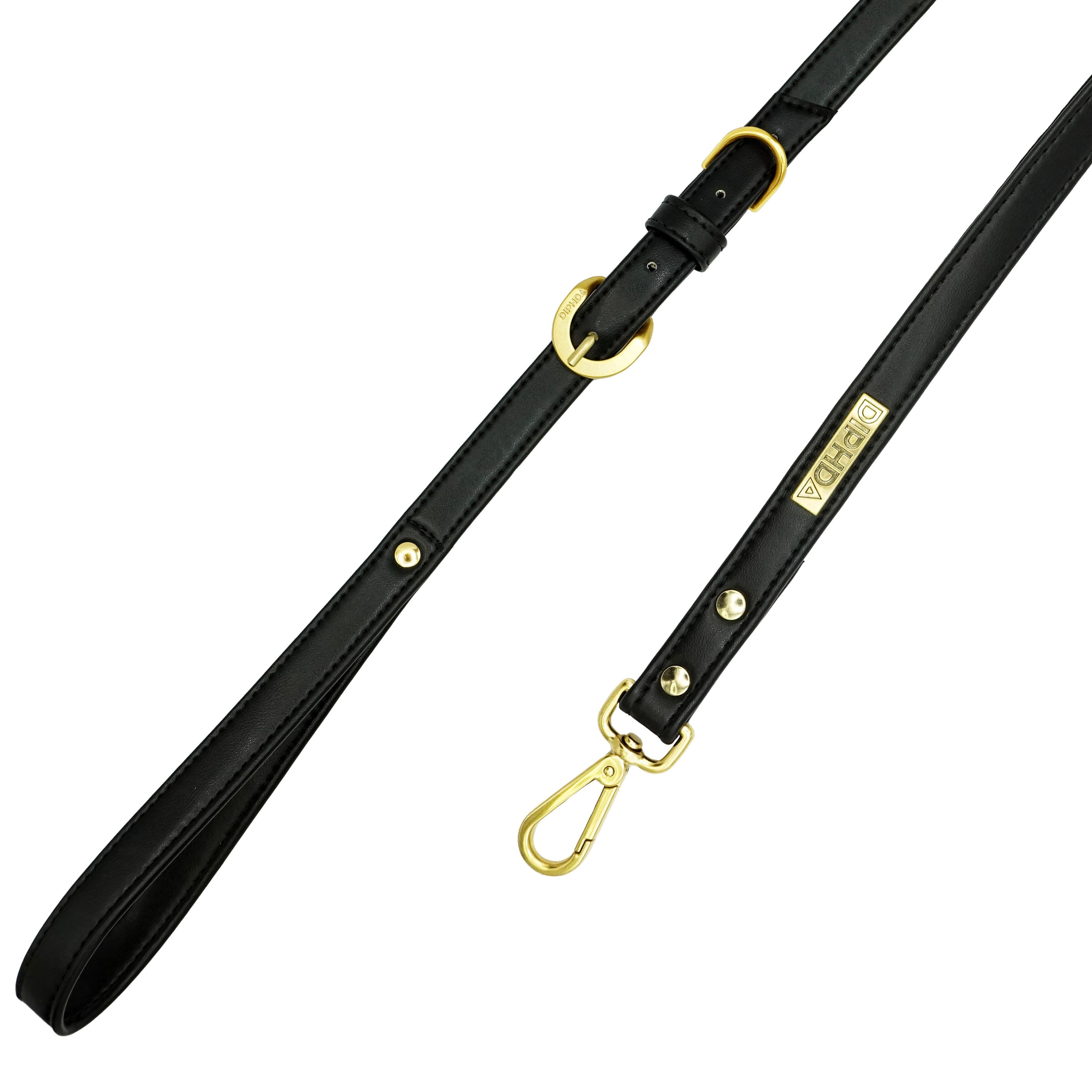 Jet Cactus Leash Image 1
