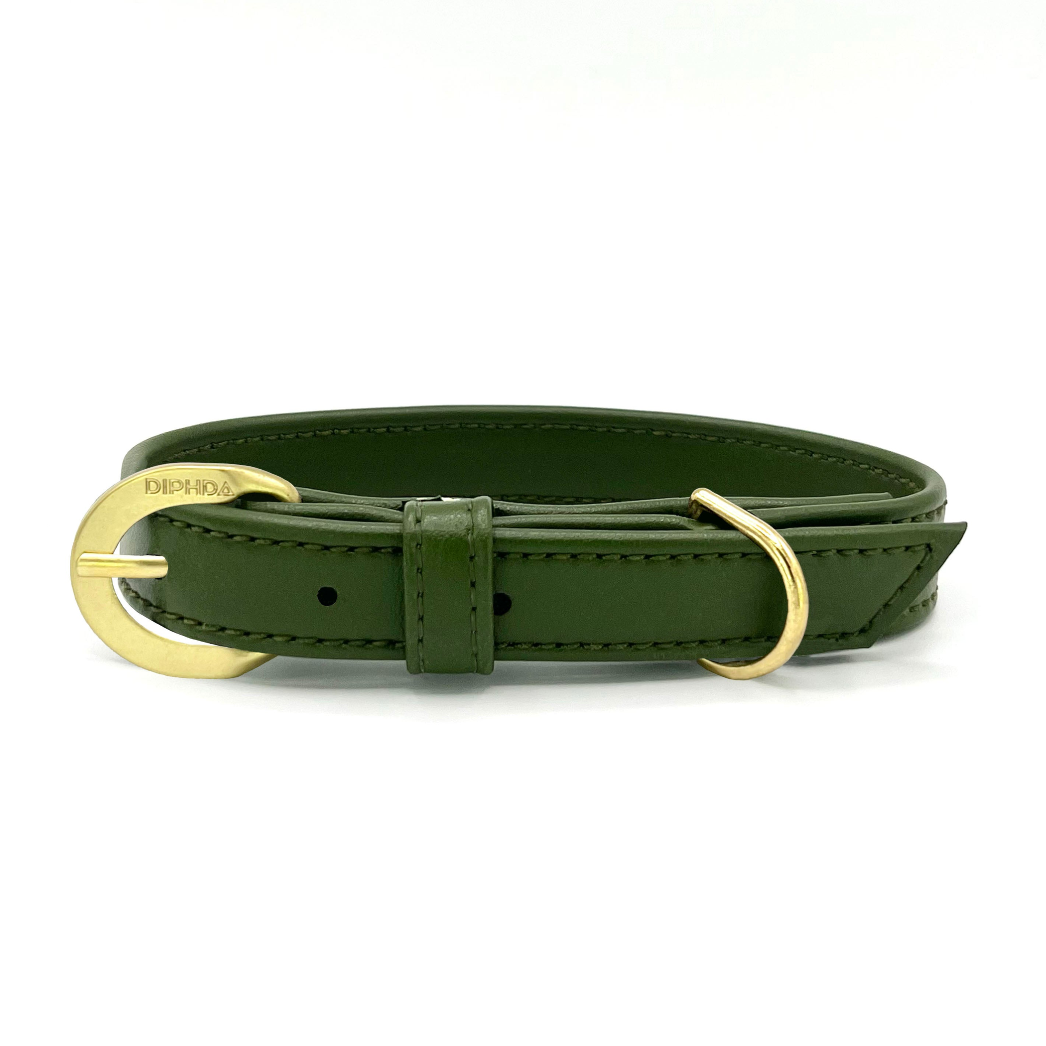 Olive Cactus Collar Image 1