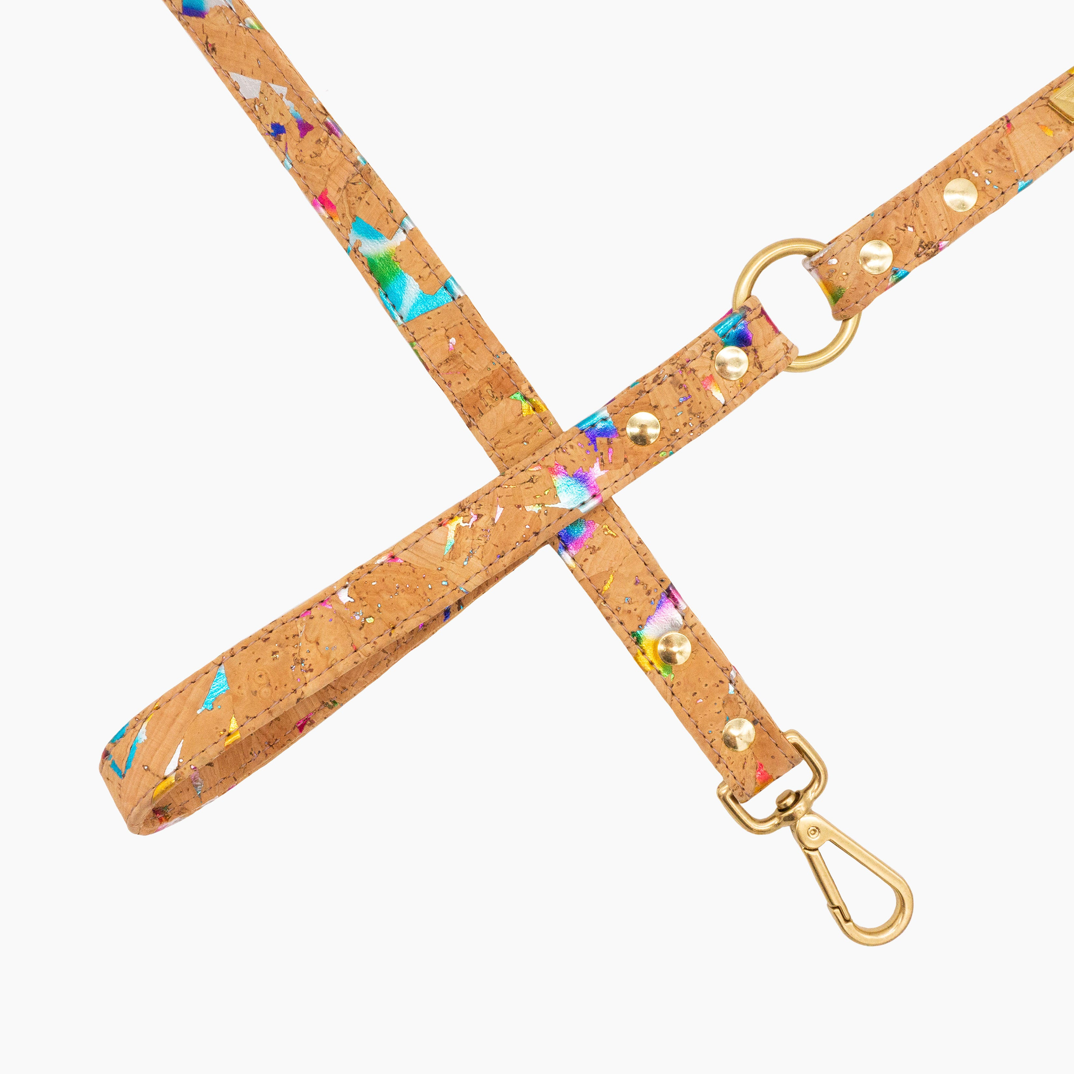 Rainbow Pride Cork Leather Leash Image 1