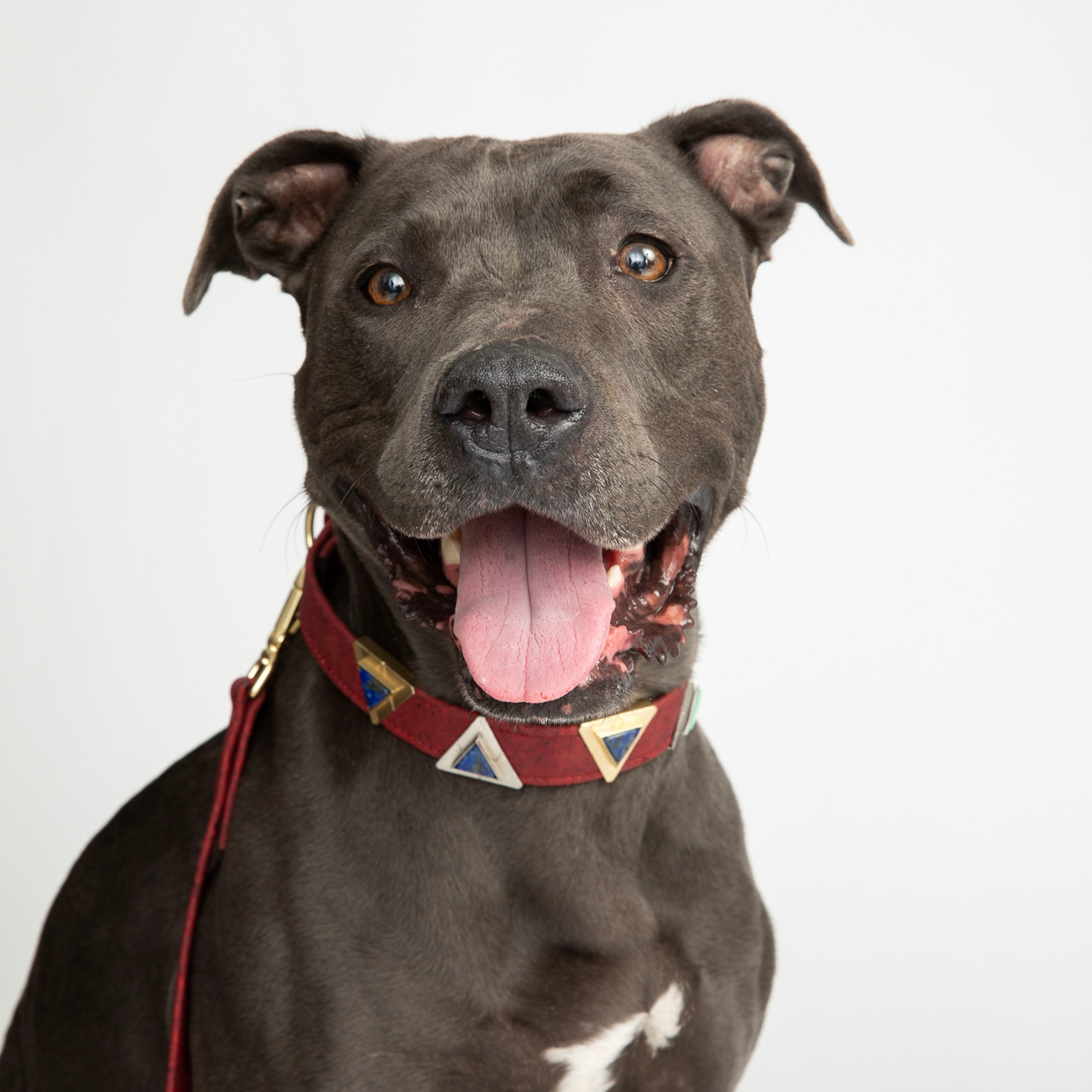 Ruby Red Cork Leather Collar Image 1