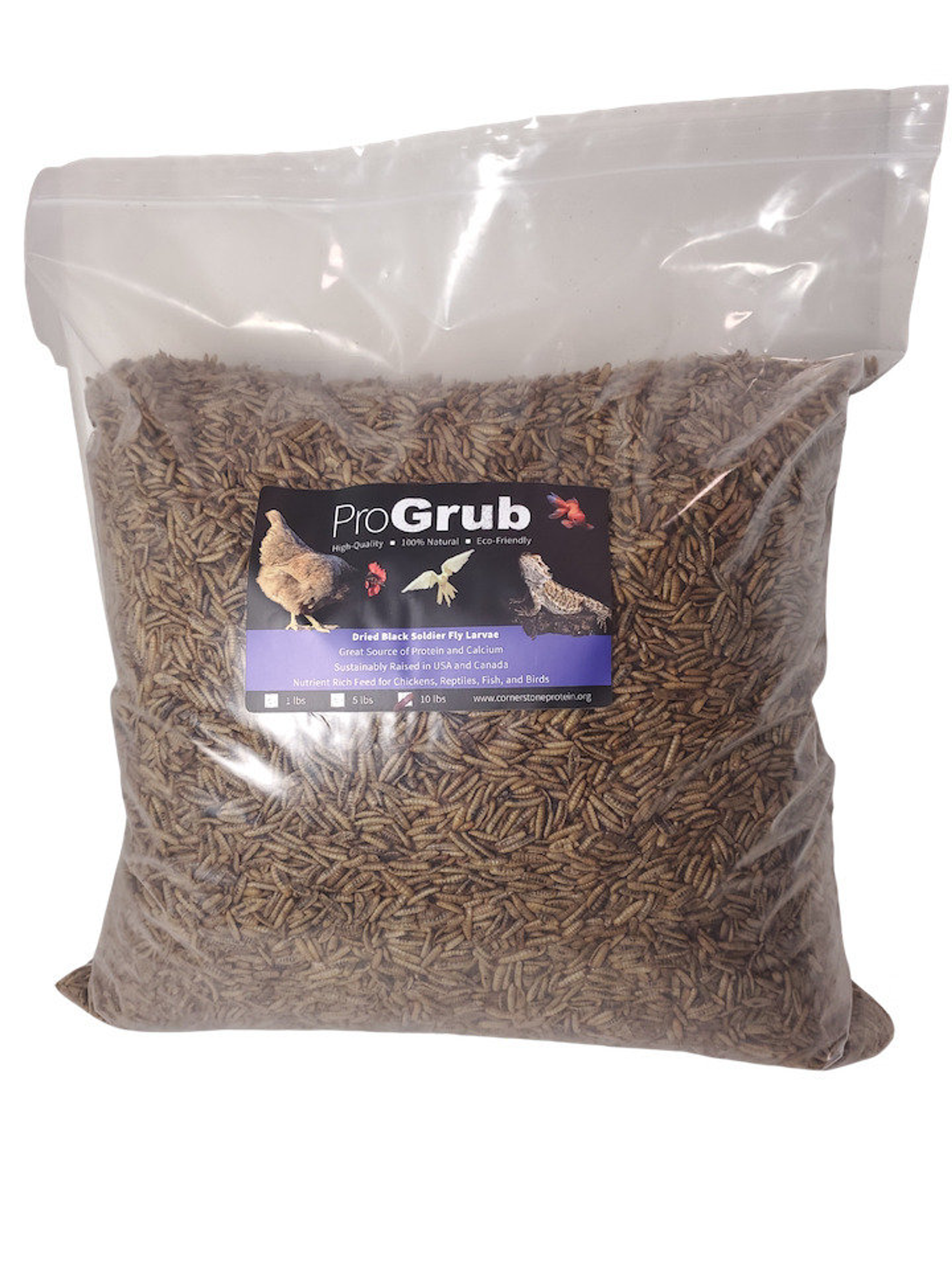 Dried Black Soldier Fly Larvae Image 1