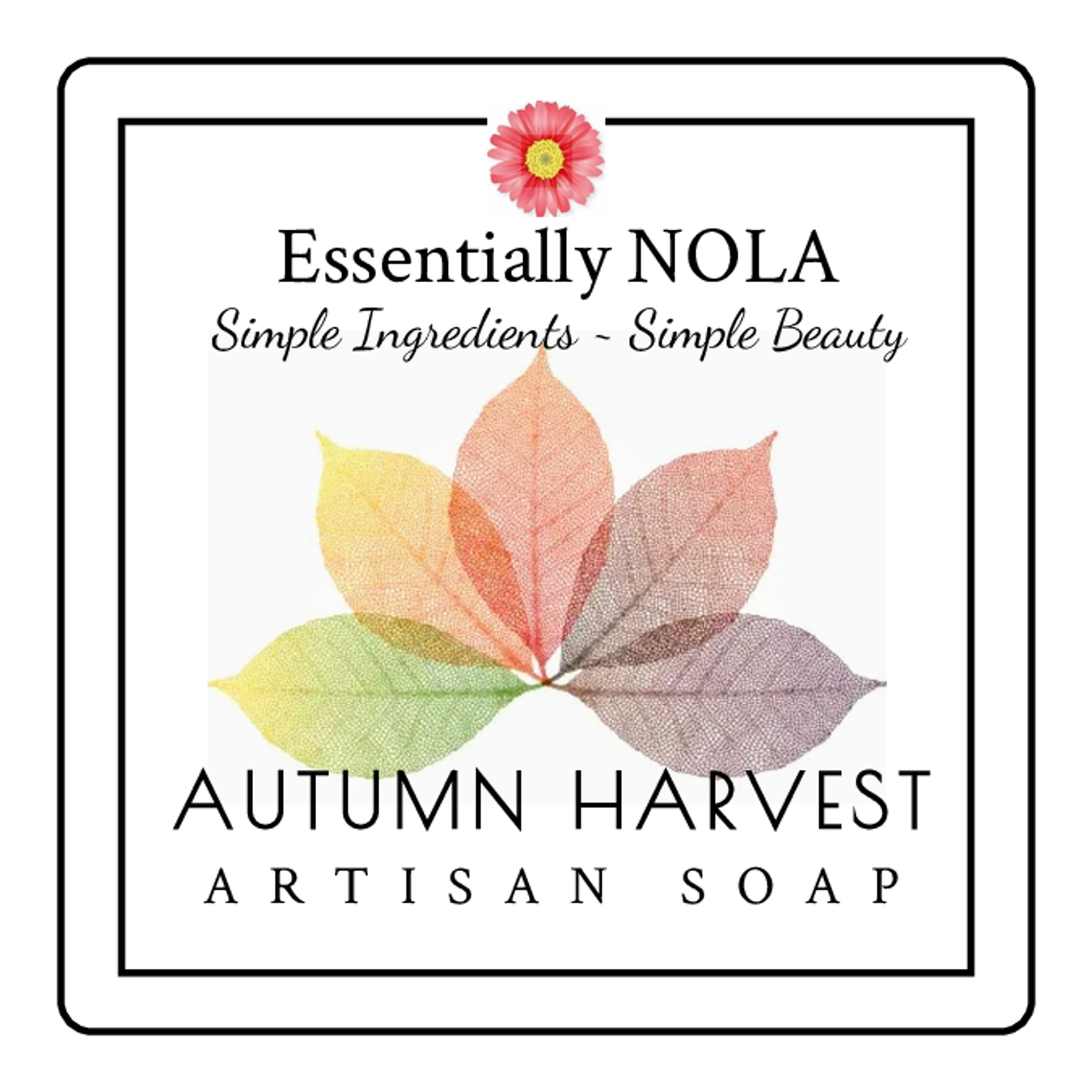 Soap Body Cleanser Seasonal Scents Pumpkin Spice Autumn Harvest Coffee Cream Turmeric Ginger 5.5oz Biodegradable Packaging Natural Ingredients Handcrafted