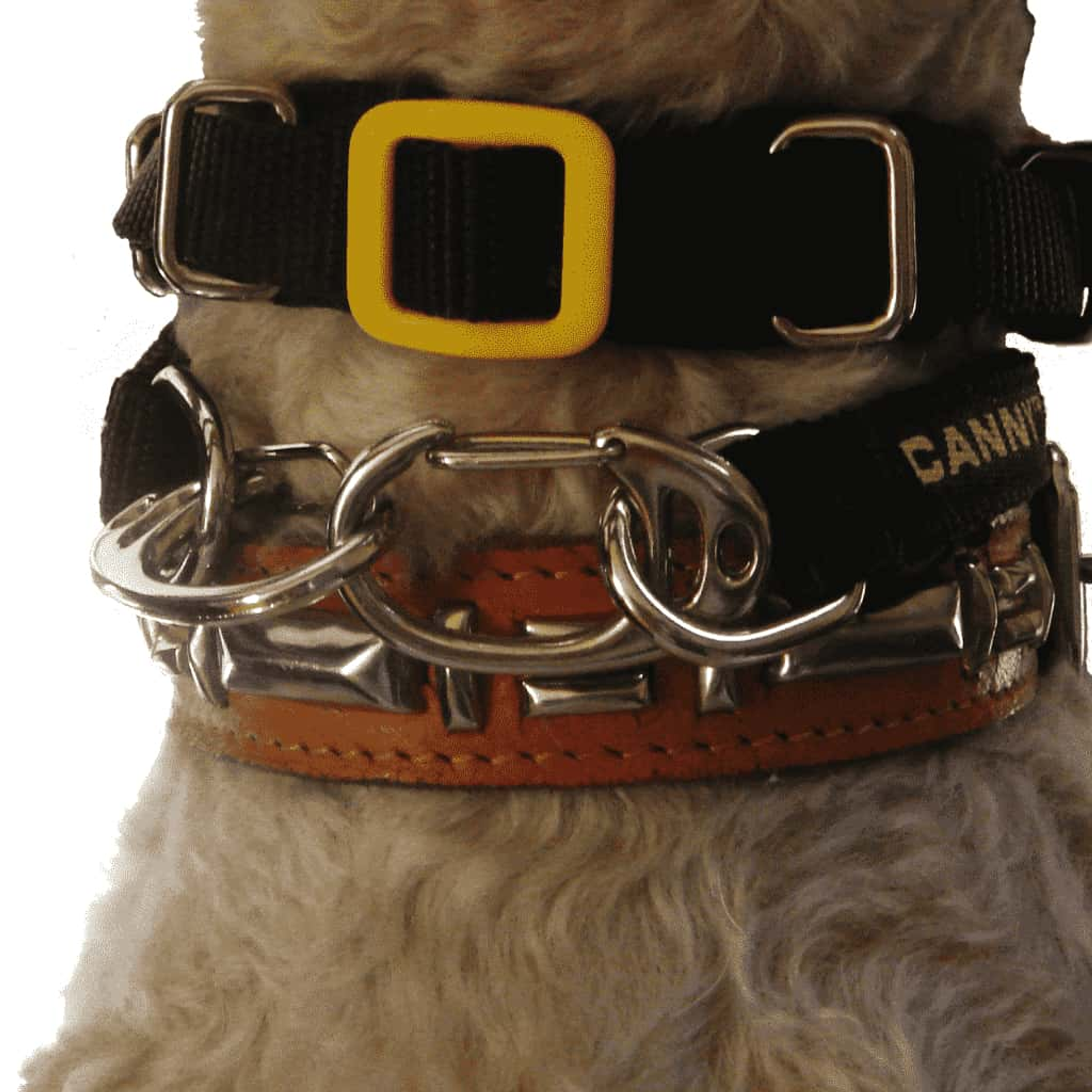 Canny Carabiners [pack of 2] Image 1