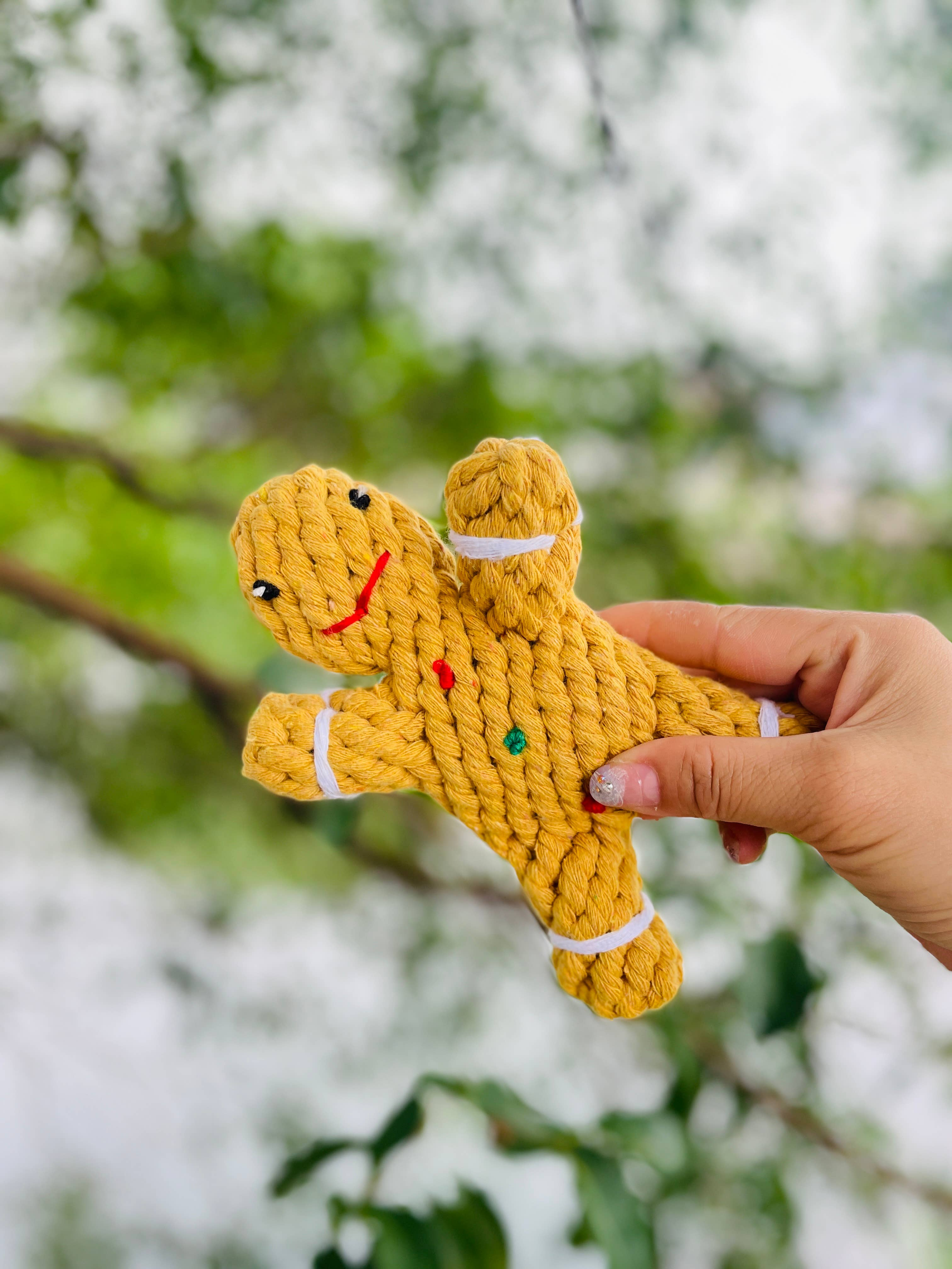 Christmas: Eco-Friendly Gingerbread Man Toy For Puppies Image 1