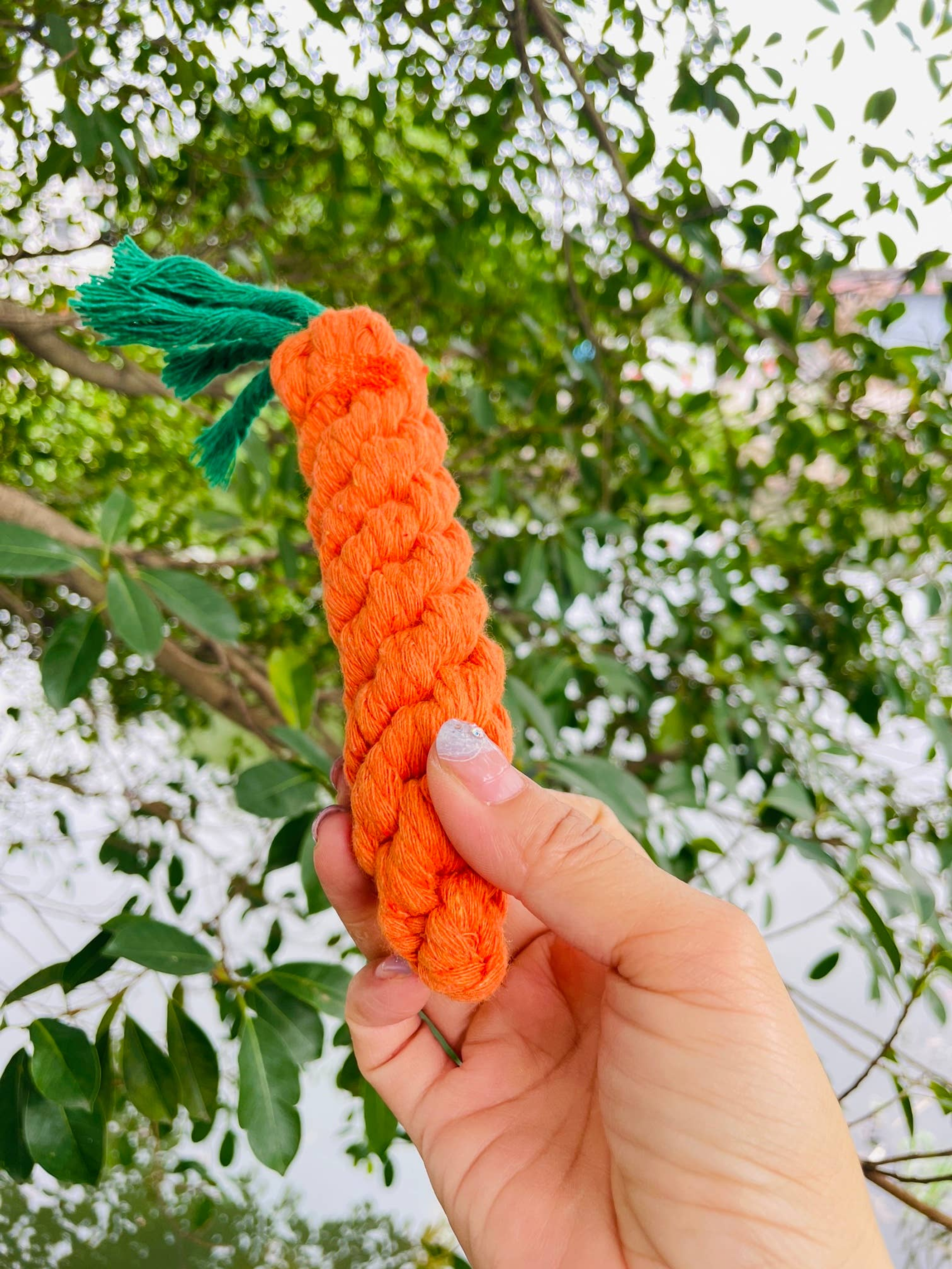 Handmade Sustainable Carrot Rope Chew Toy For little Pet Image 1