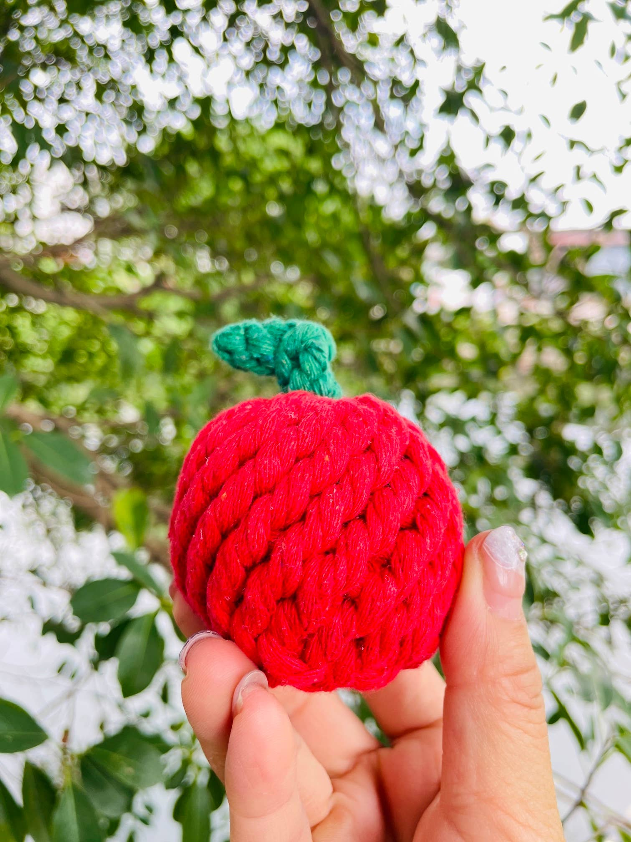 Handmade Sustainable Fuji Apple Rope Chew Toy For Puppies Image 1