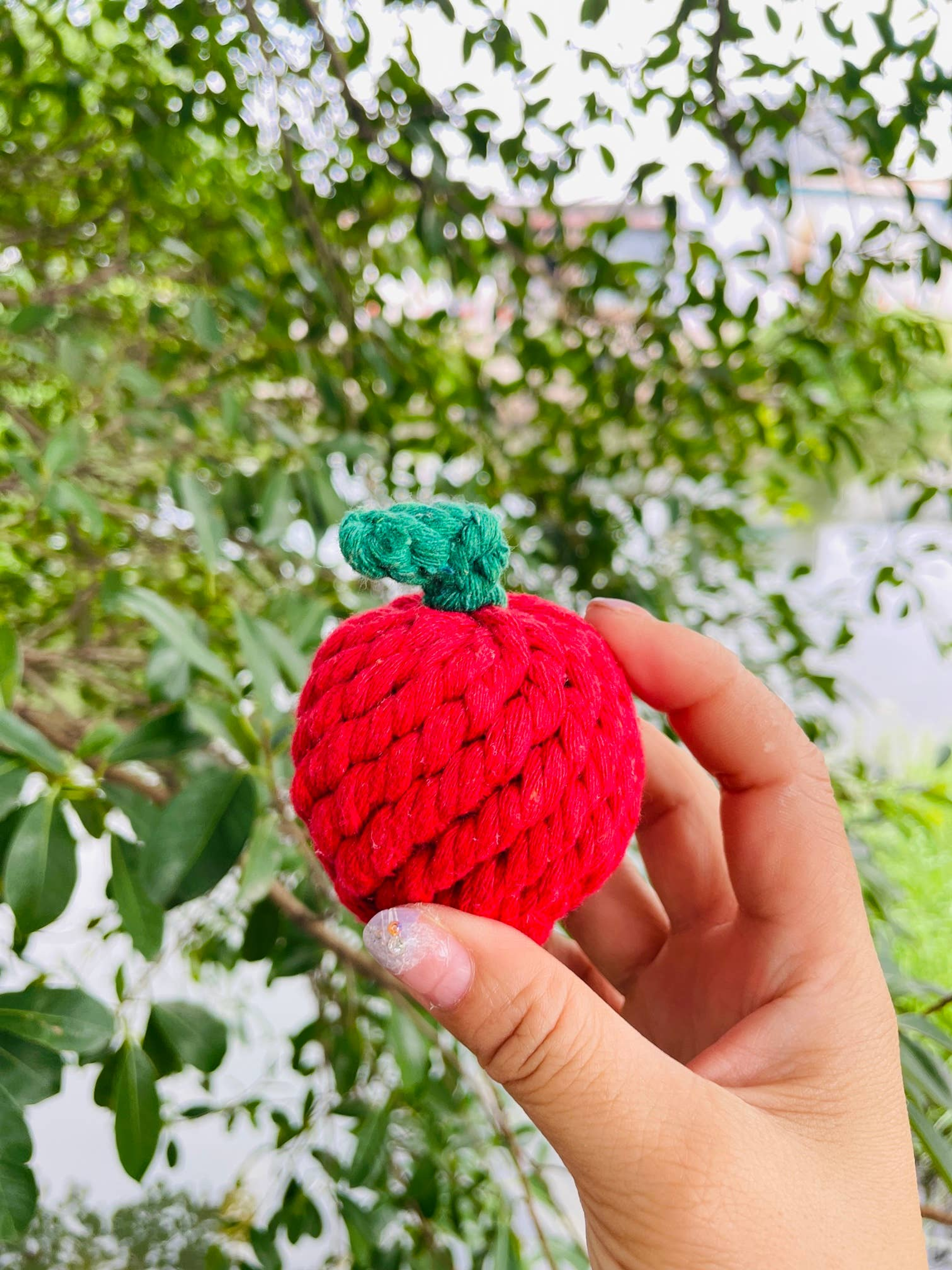 Handmade Sustainable Strawberry Rope Chew Toy For Puppies Image 1