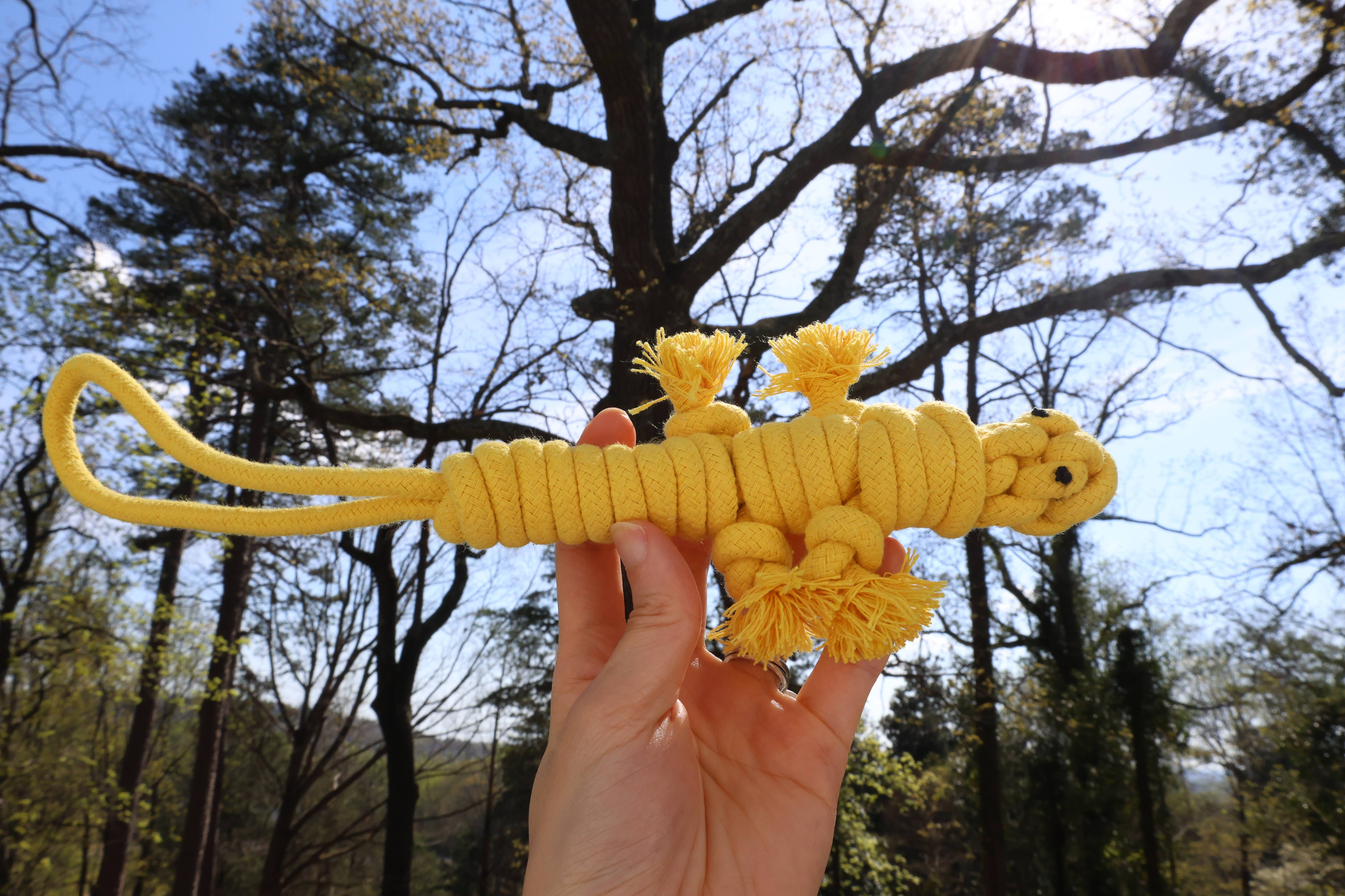 Sustainable Rope Lizard Dog Toy, Dog Rope Toys For Puppies Image 1