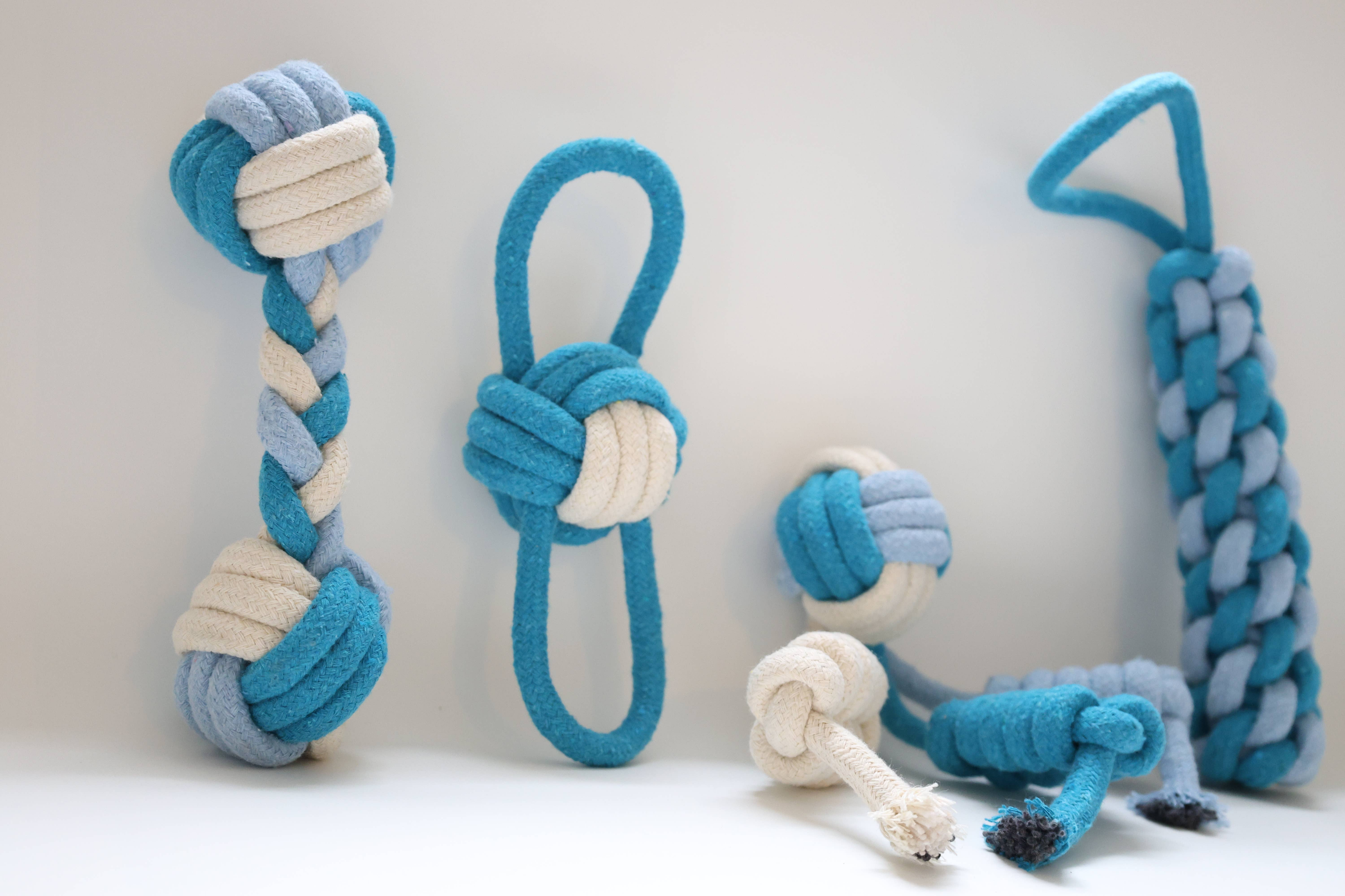Eco-friendly Blue and White Rope Dog Toys 4 Set Image 1