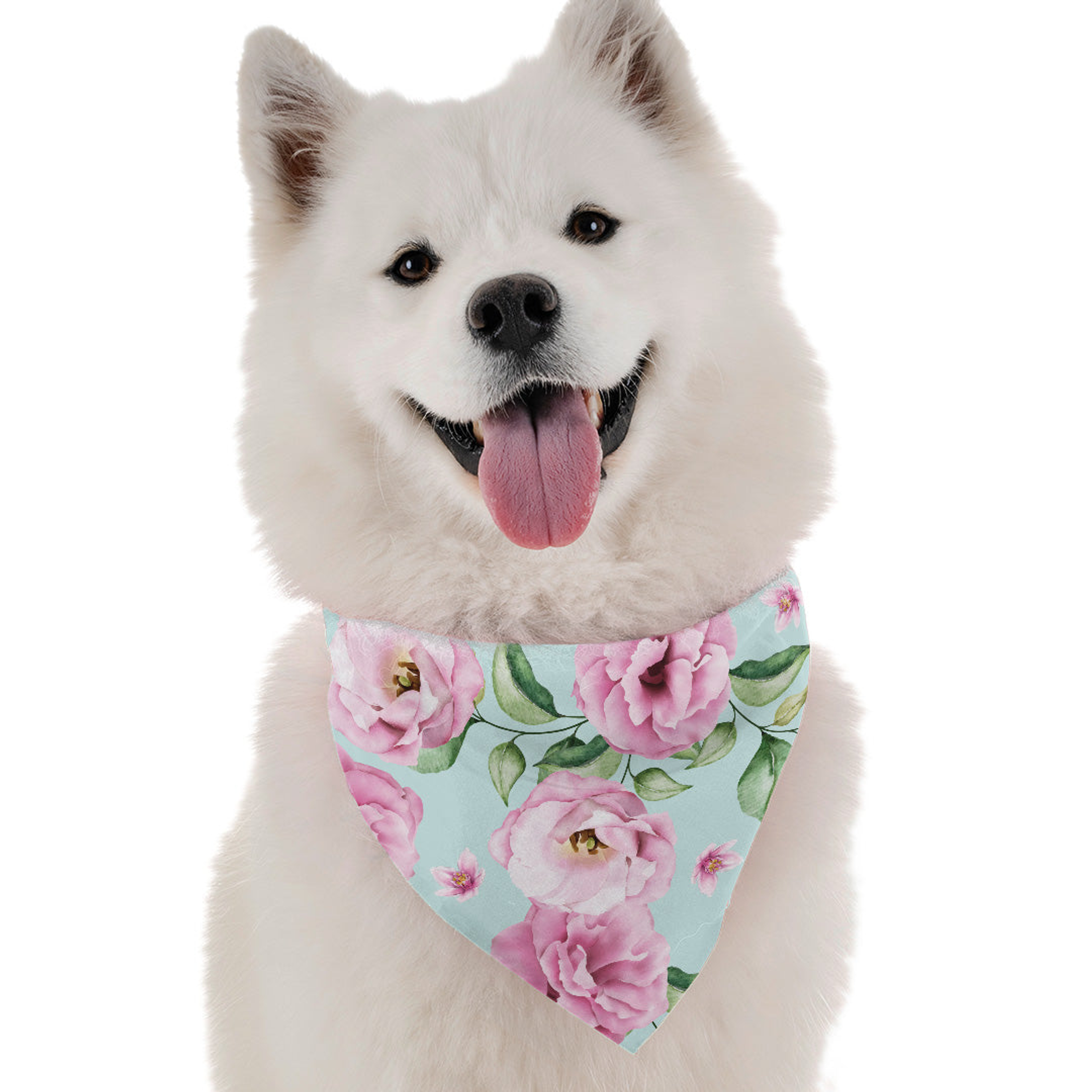 Rose Image 1