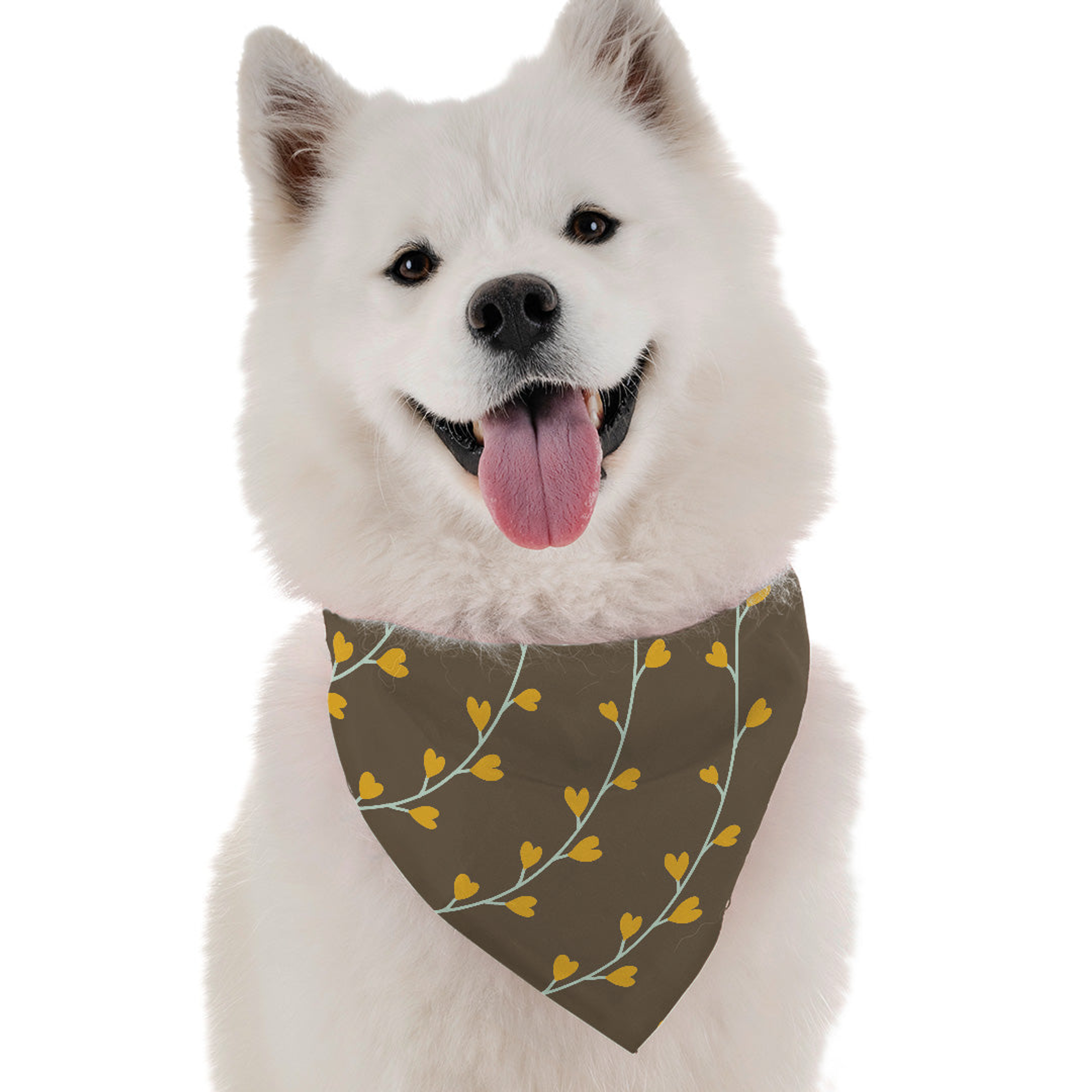 Aspen Image 1