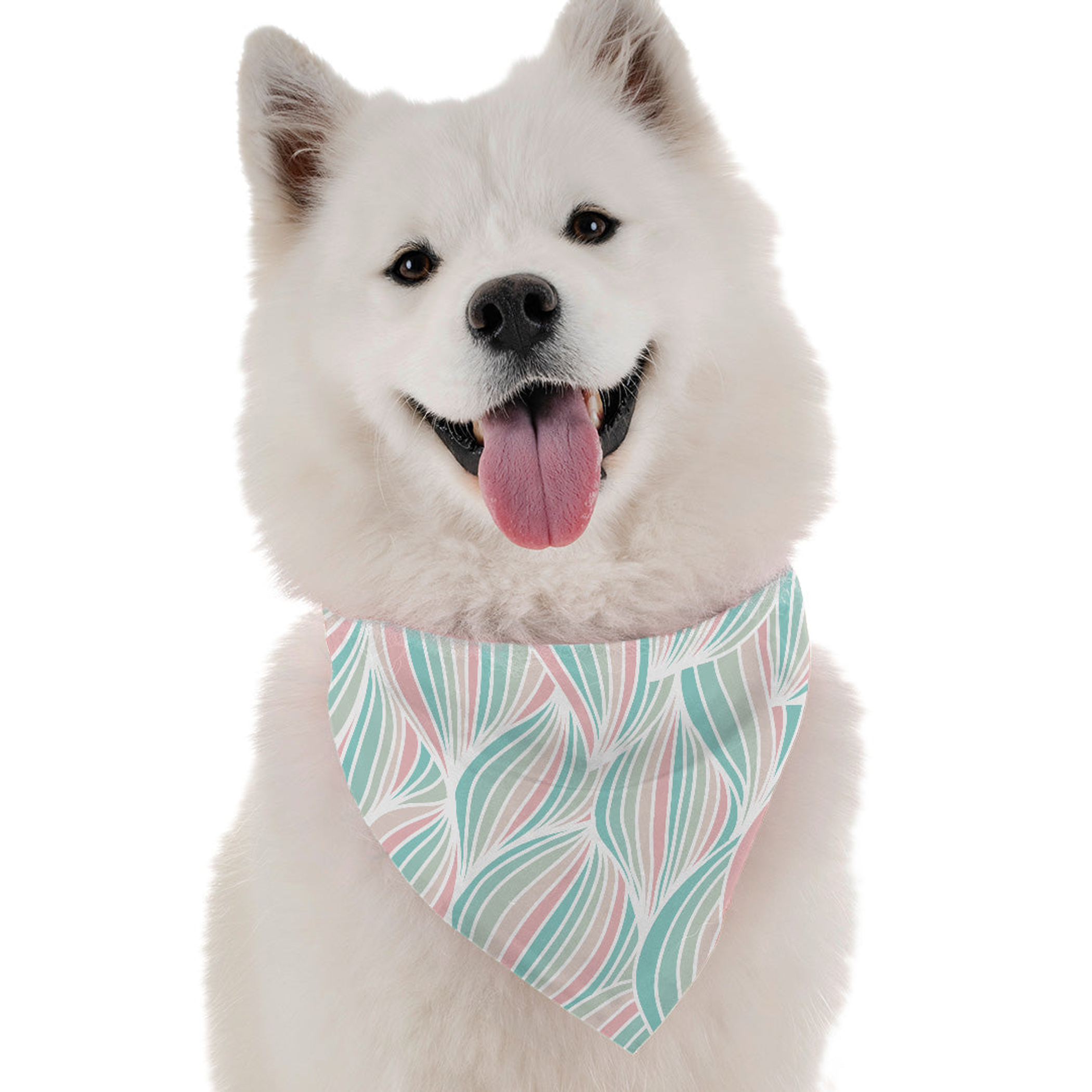 Remi Image 1