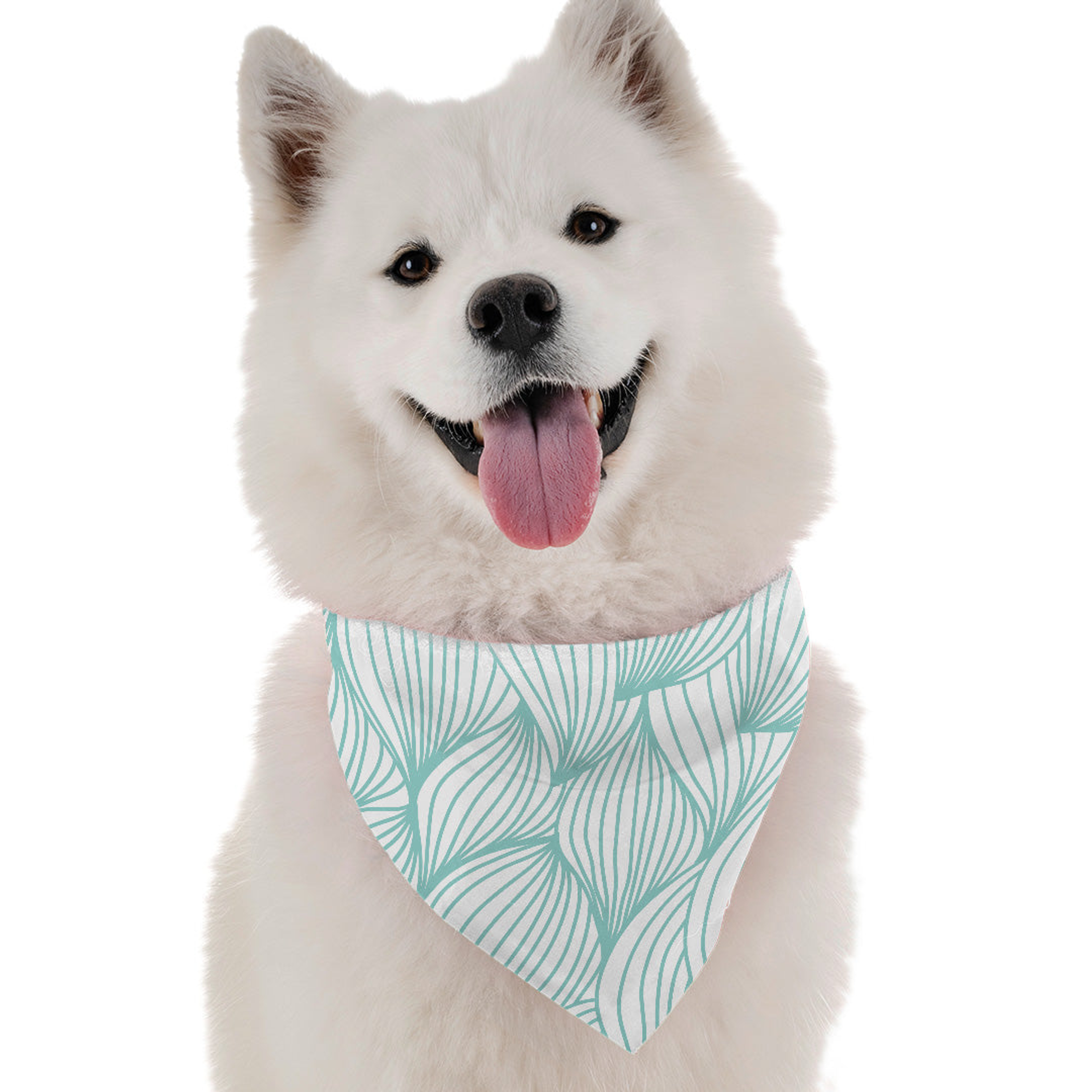 Lyla Image 1