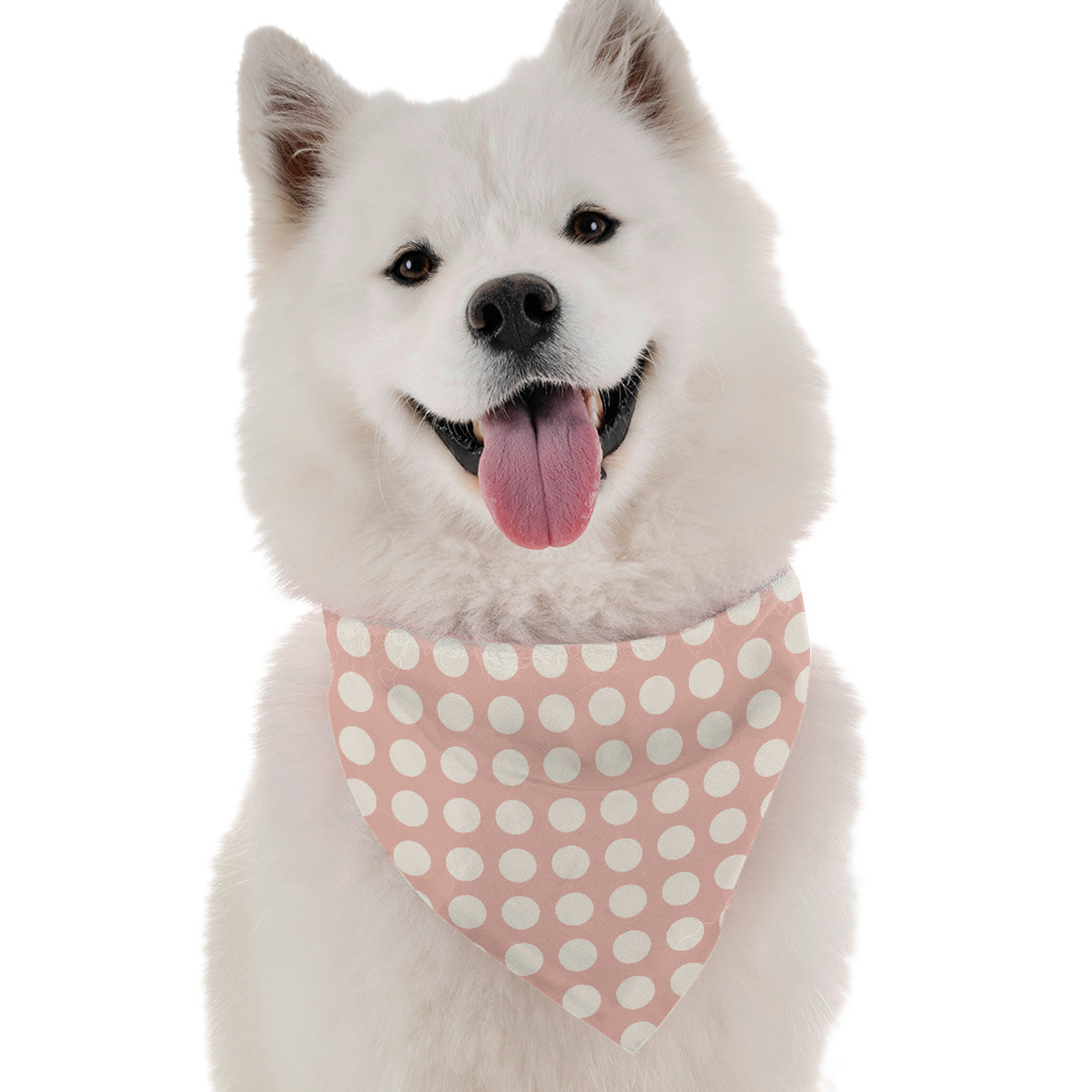 Pink Polka Image 1