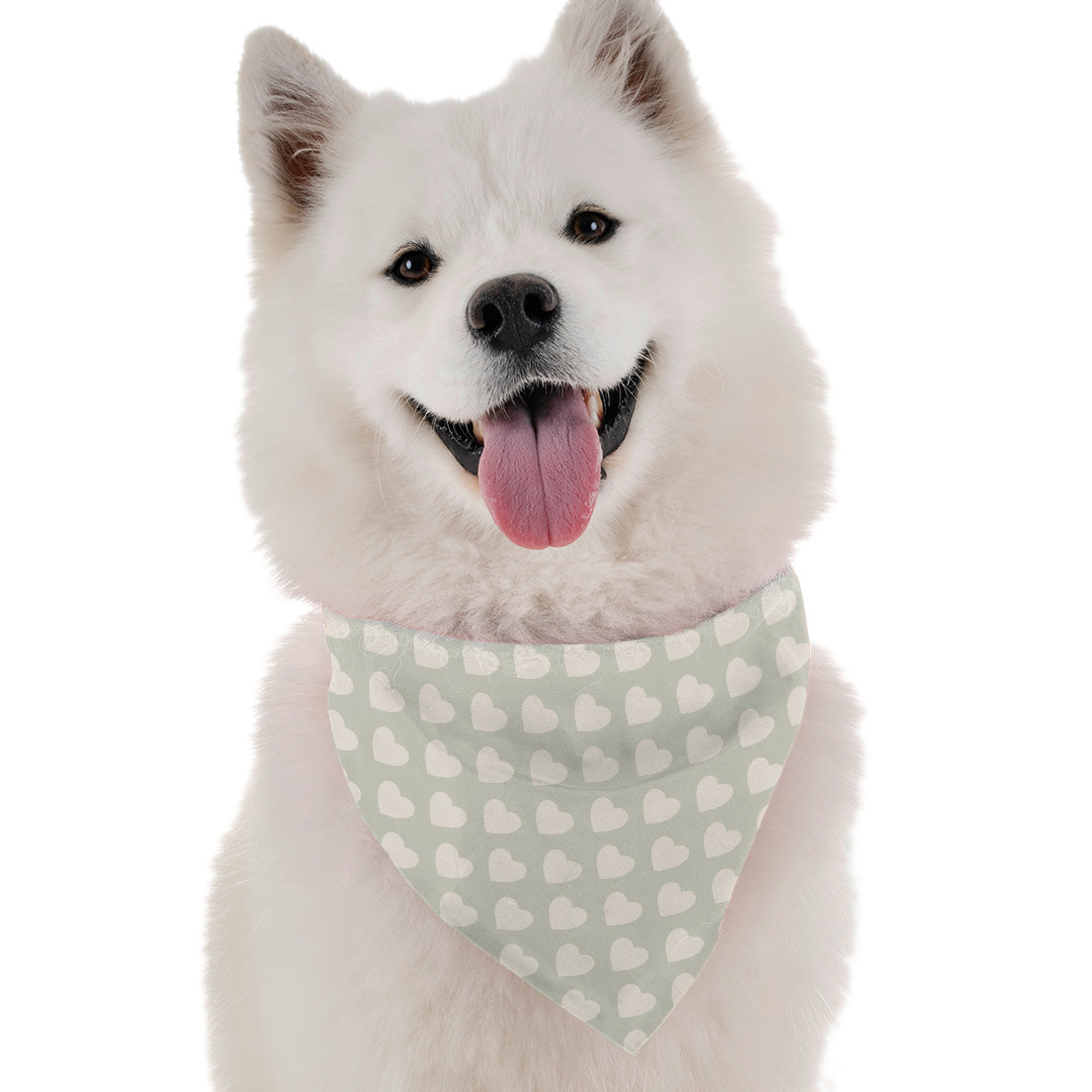 Sweetie Image 1