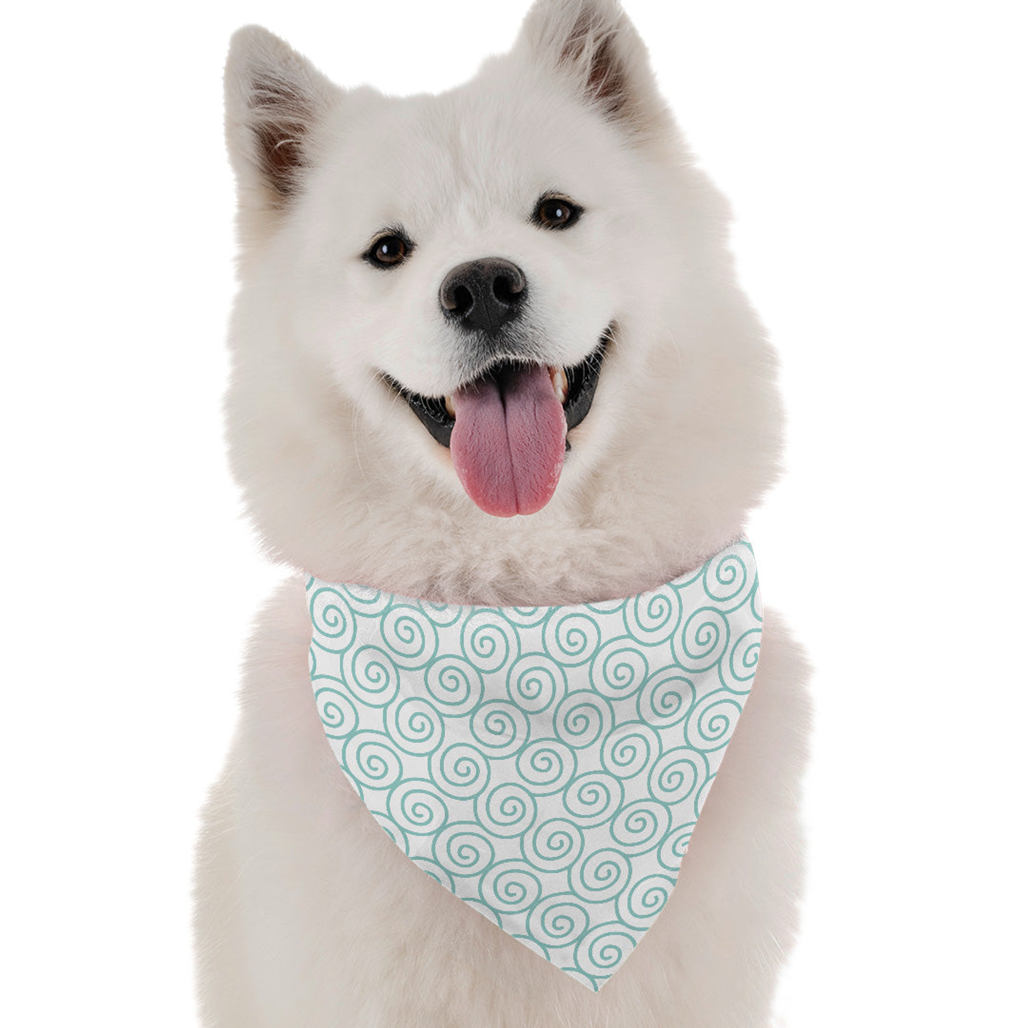 Springy Image 1