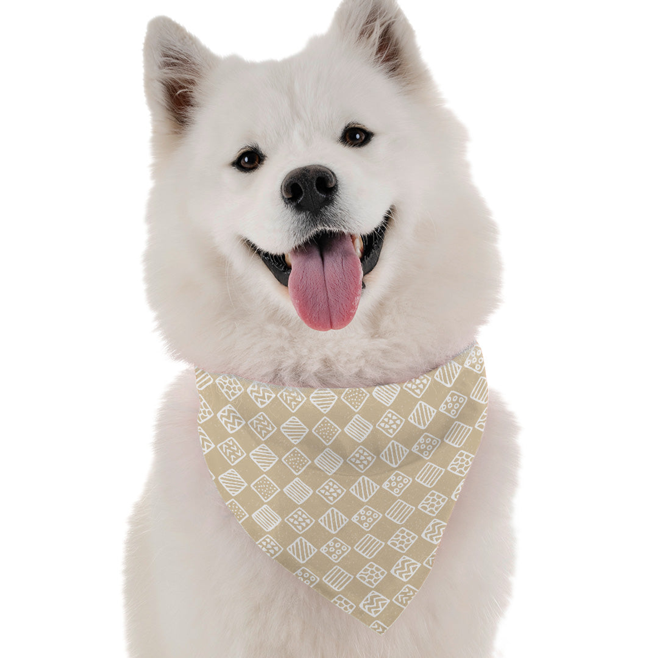 Belle Image 1