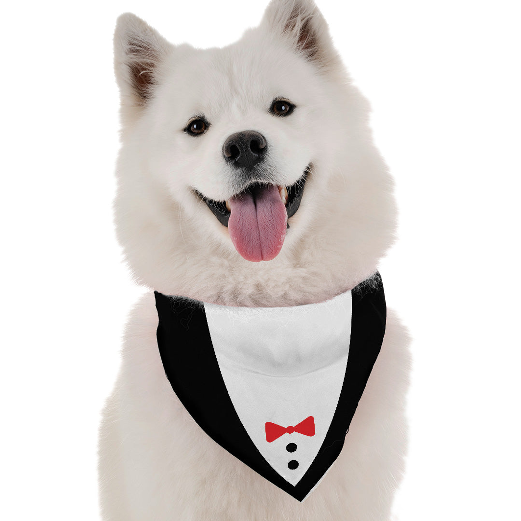 Tuxedo Image 1