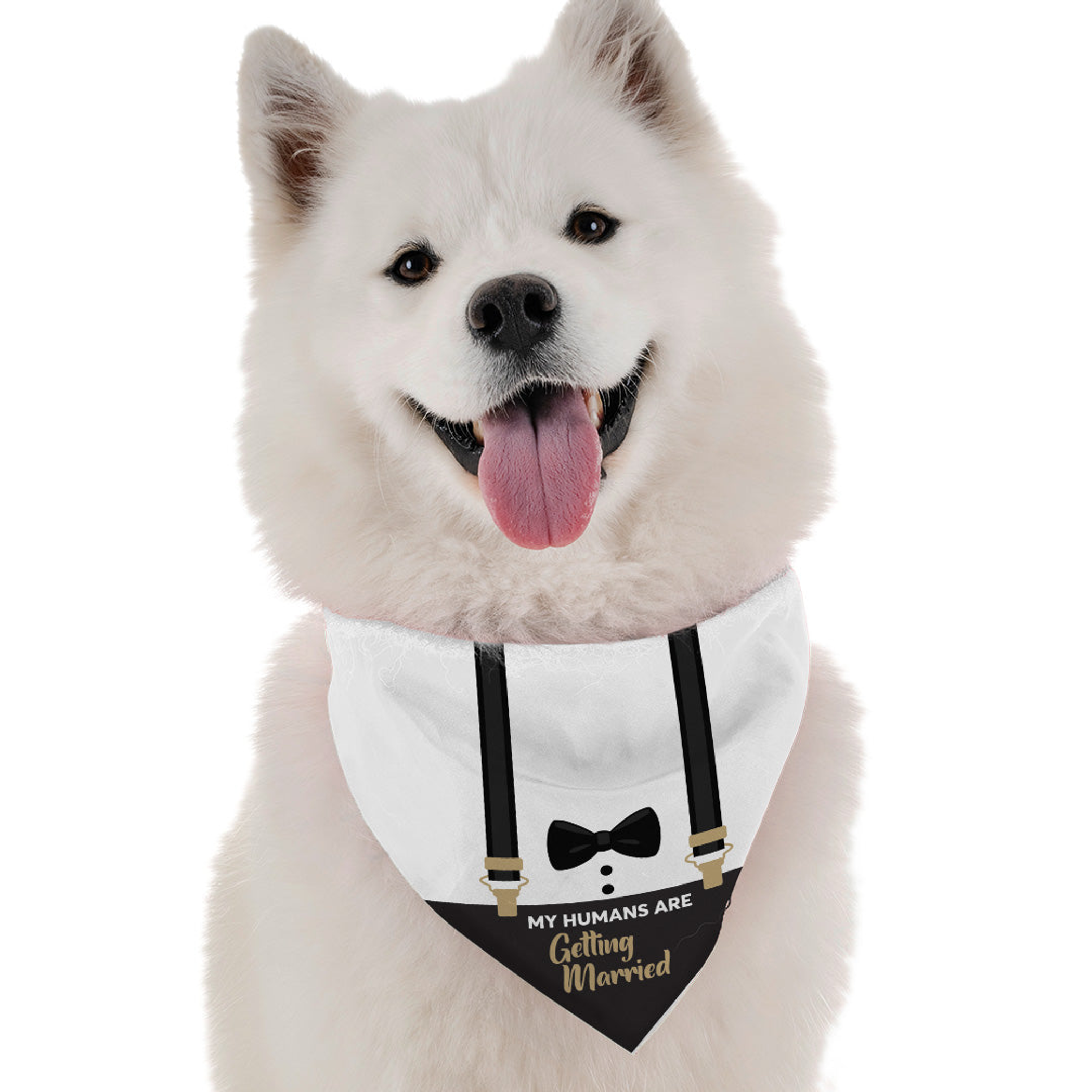 My Humans Are Getting Married Image 1