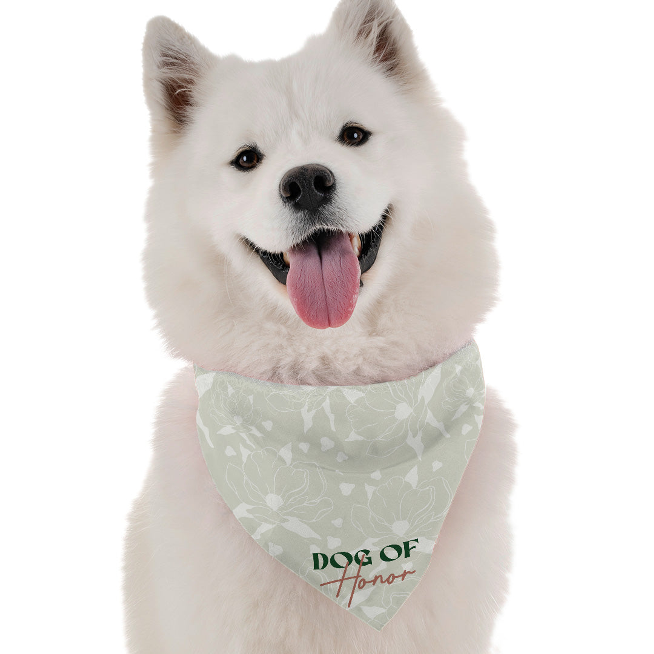 Dog of Honor Image 1