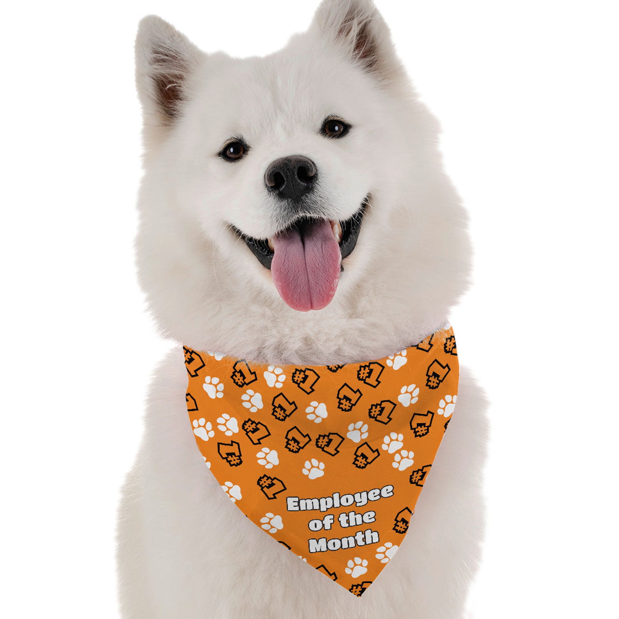Employee of the Month Image 1