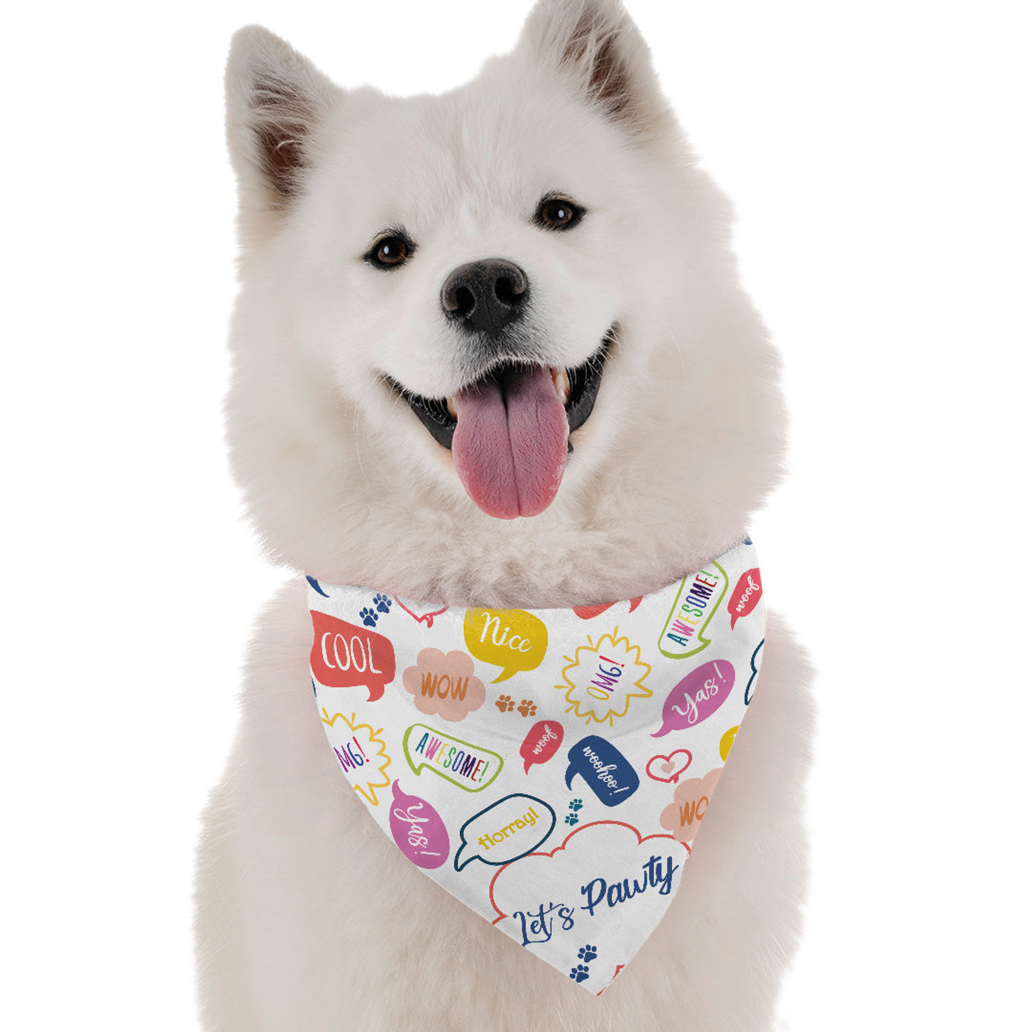 Let's Pawty (Boy) Image 1