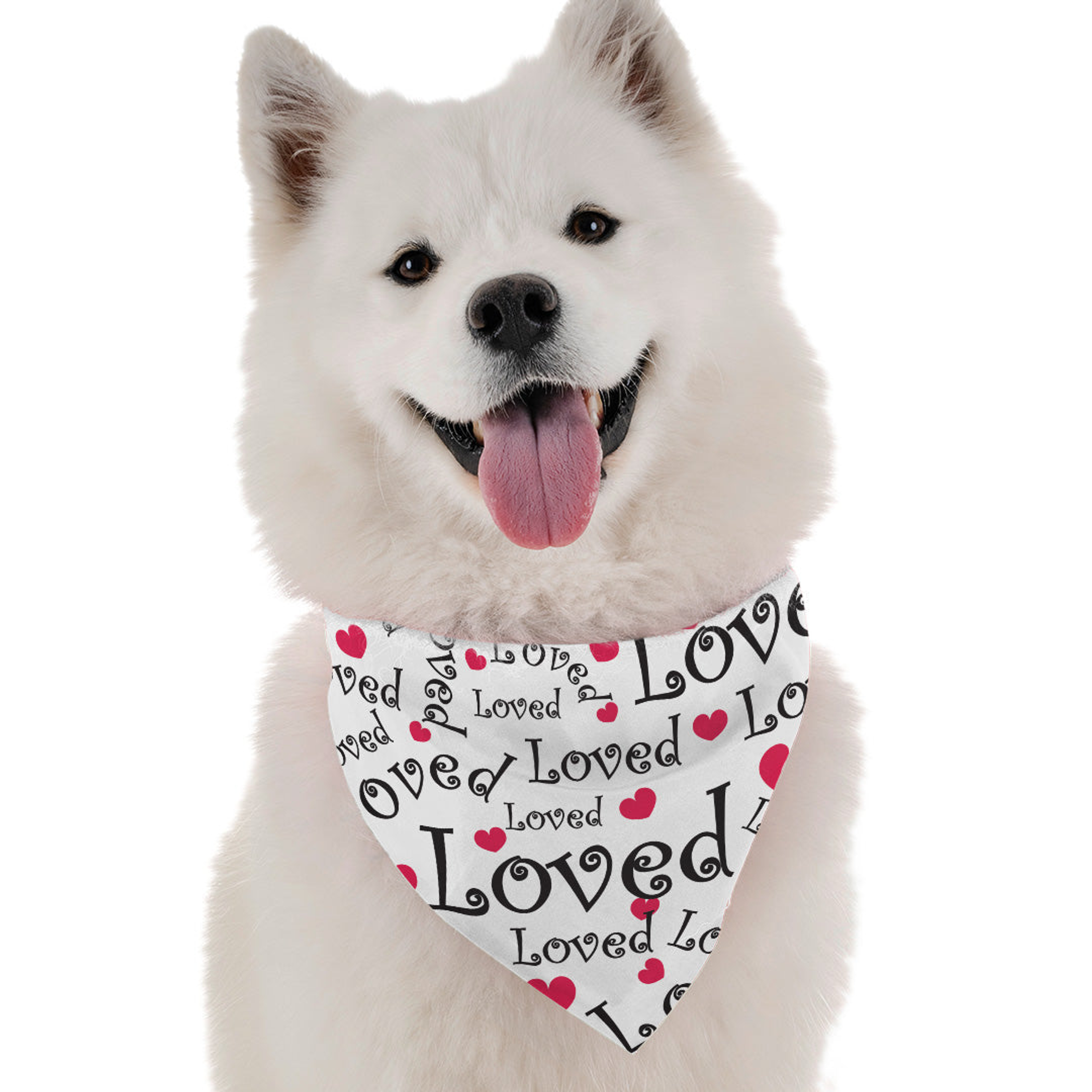 Loved Image 1