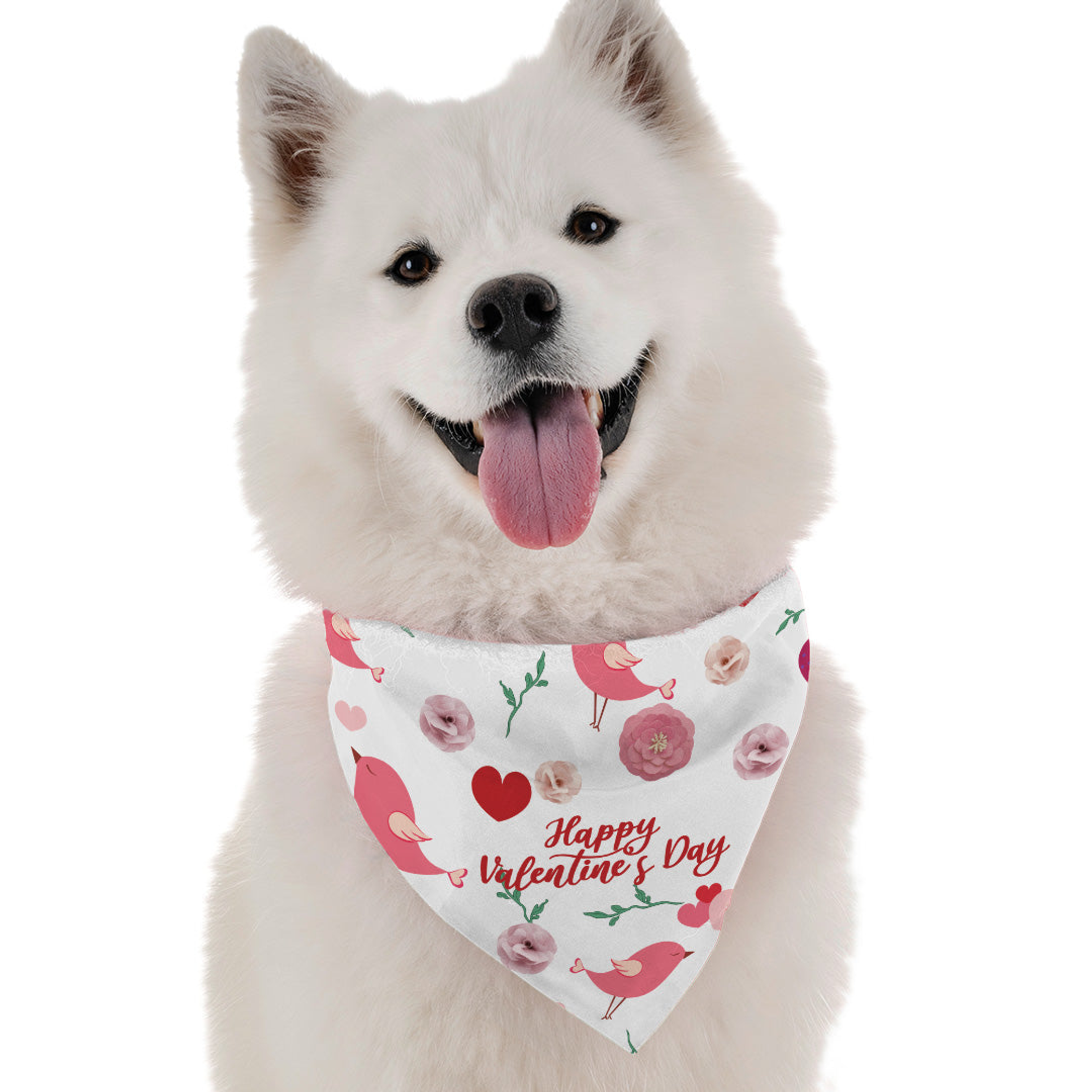 Happy Valentine's Day Image 1