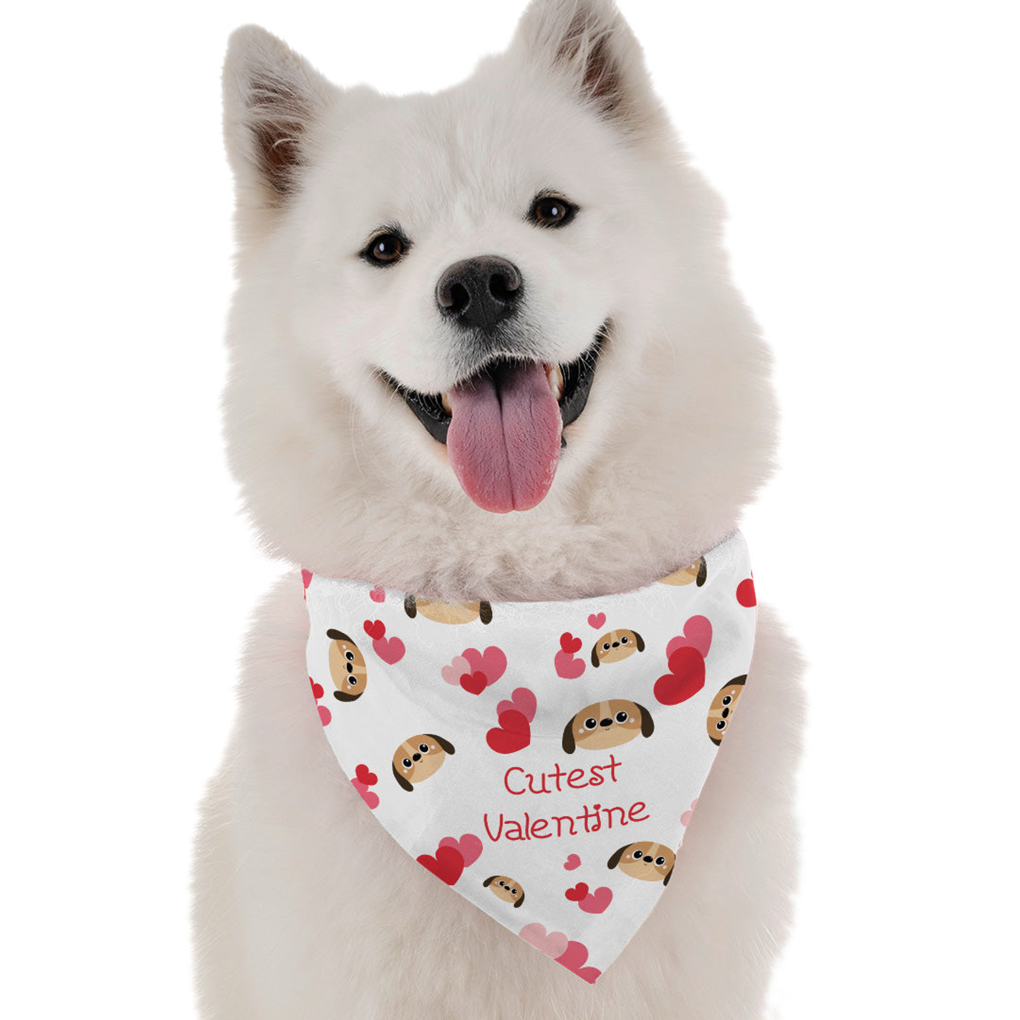 Cutest Valentine Image 1