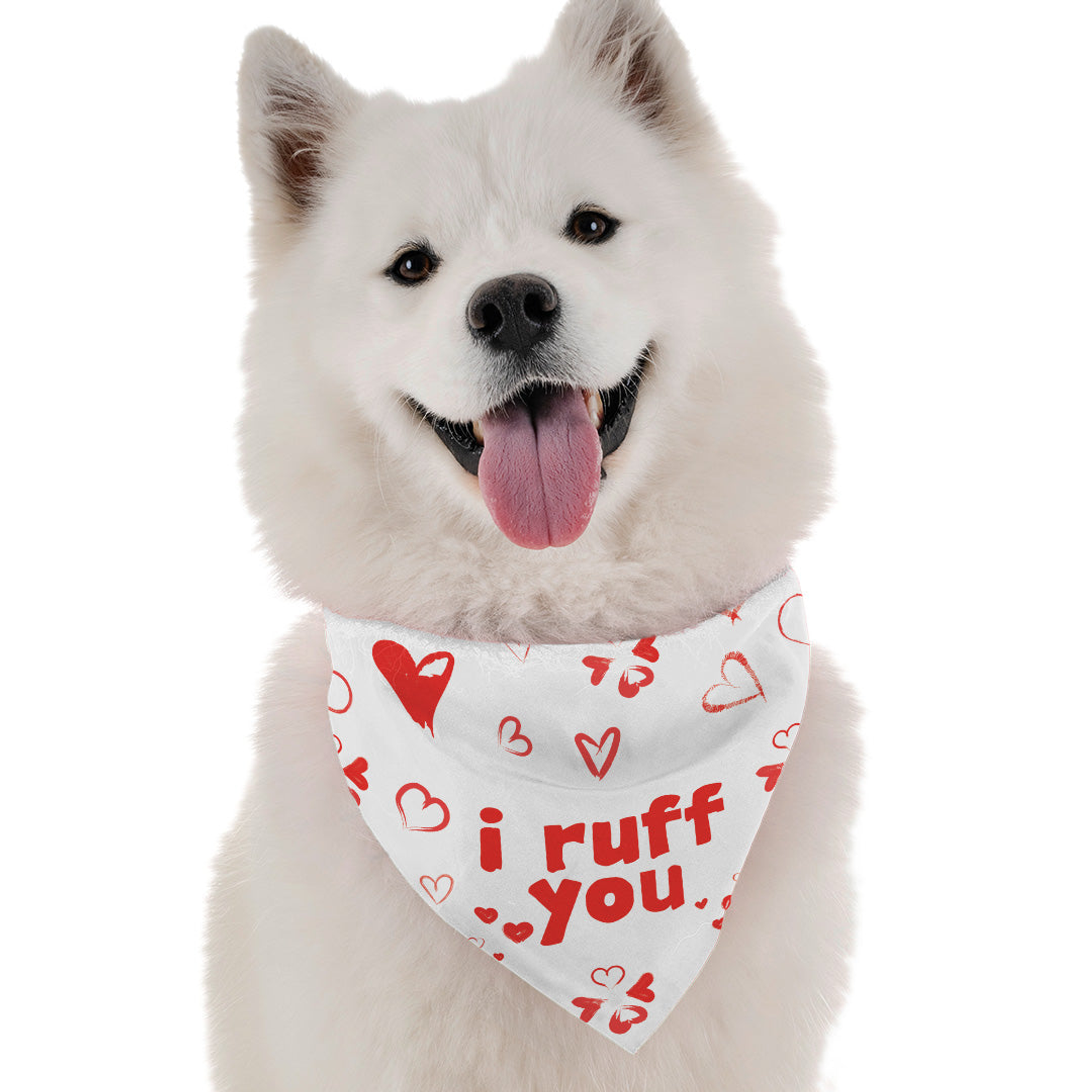 I Ruff You Image 1