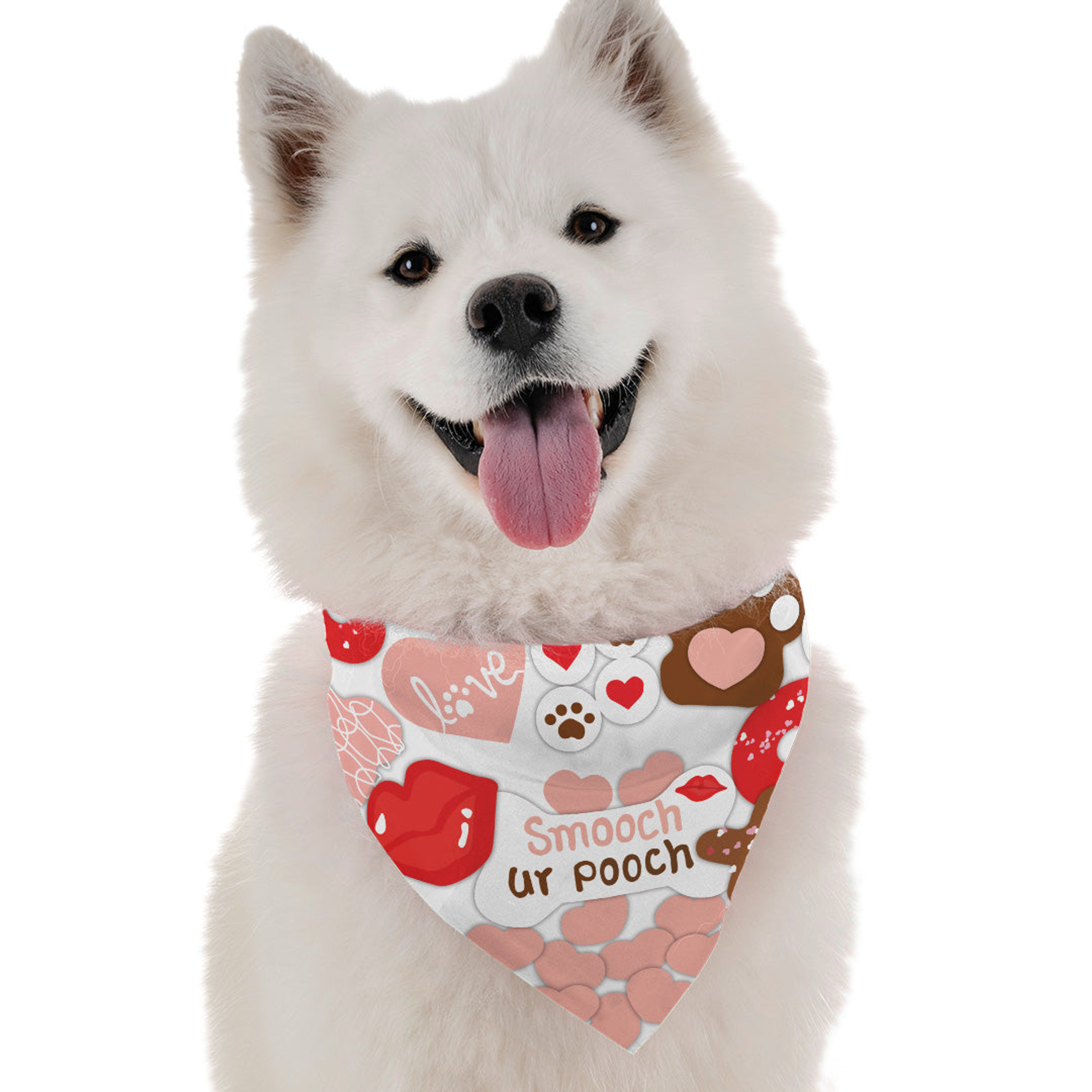Give This Pooch a Smooch Image 1